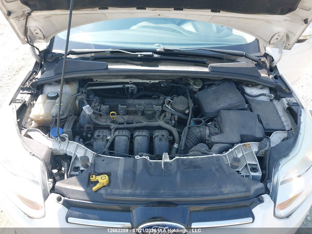 2012 FORD FOCUS SEL thumbnail 11