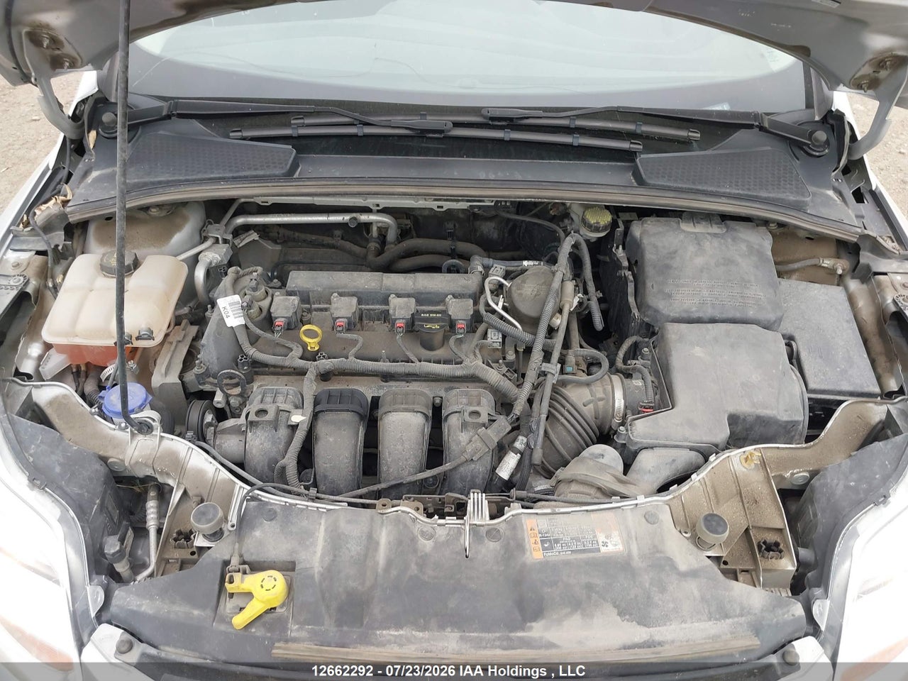 2014 FORD FOCUS SE thumbnail 11