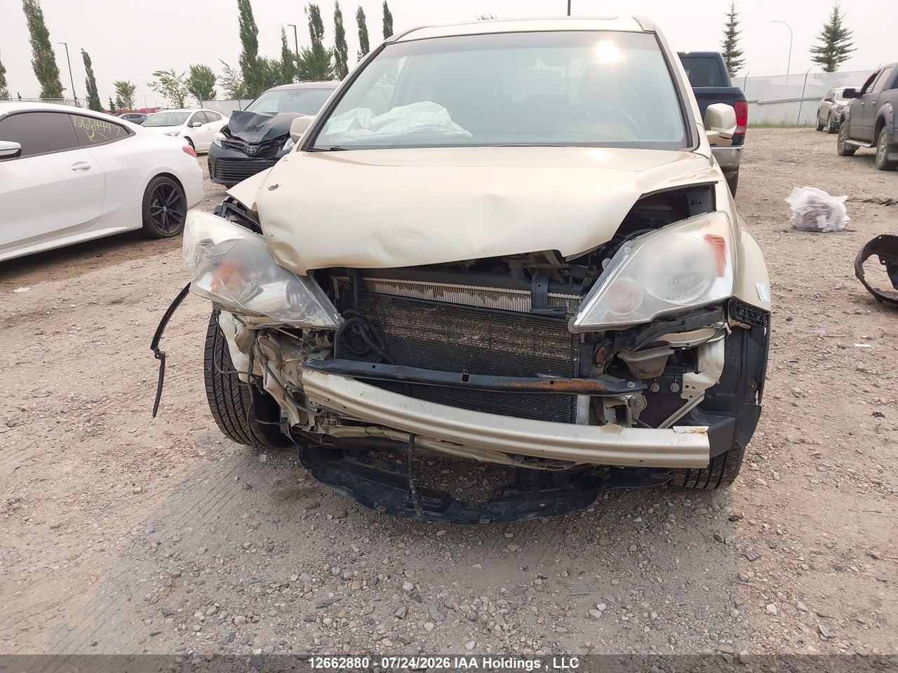 2009 HONDA CR-V EXL thumbnail 7