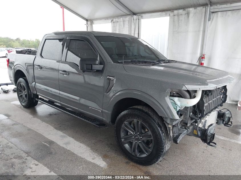 2021 FORD F-150  (VIN: 1FTFW1ED3MFC98895)