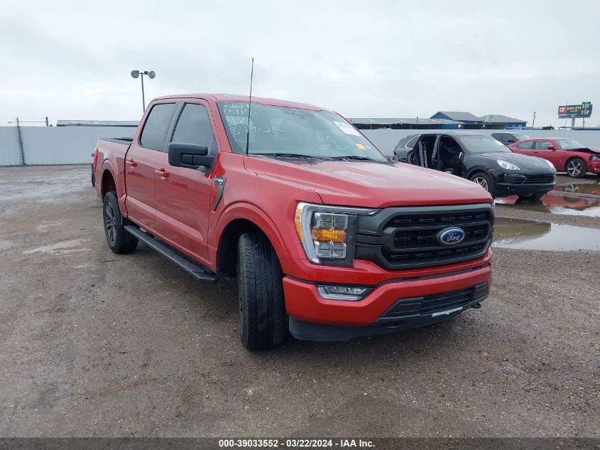 2023 FORD F150  (VIN: 1FTFW1E5XPKD30441)