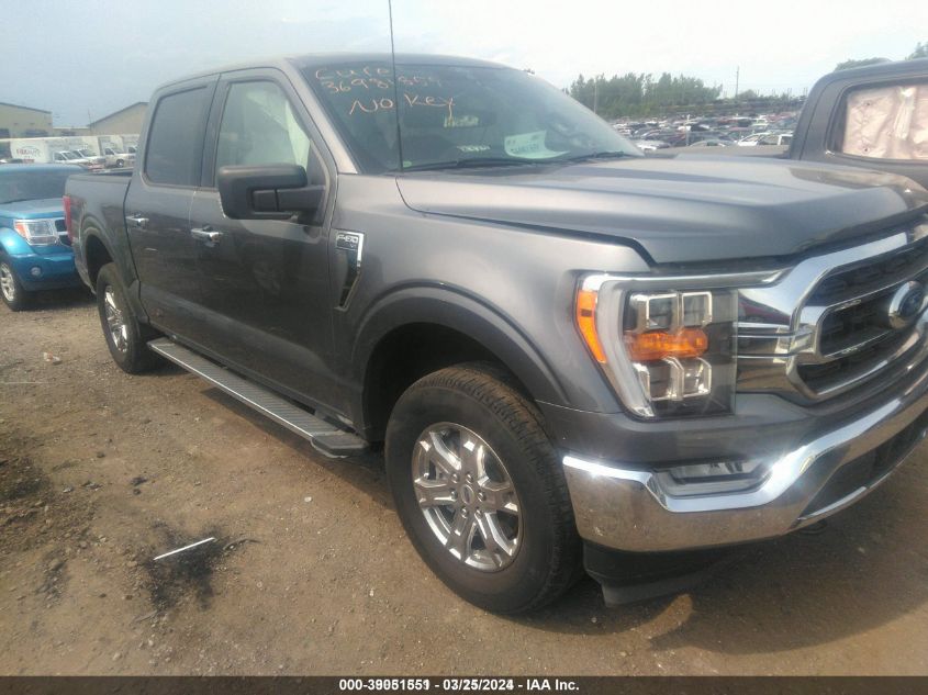 2022 FORD F-150  (VIN: 1FTEW1EP2NFA08816)