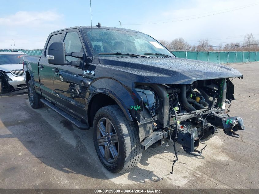 2020 FORD F-150  (VIN: 1FTFW1E47LFB29705)