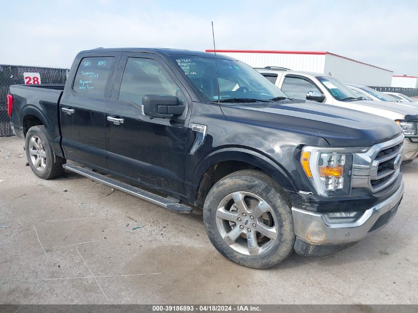 2021 FORD F-150  (VIN: 1FTEW1C50MKE87955)