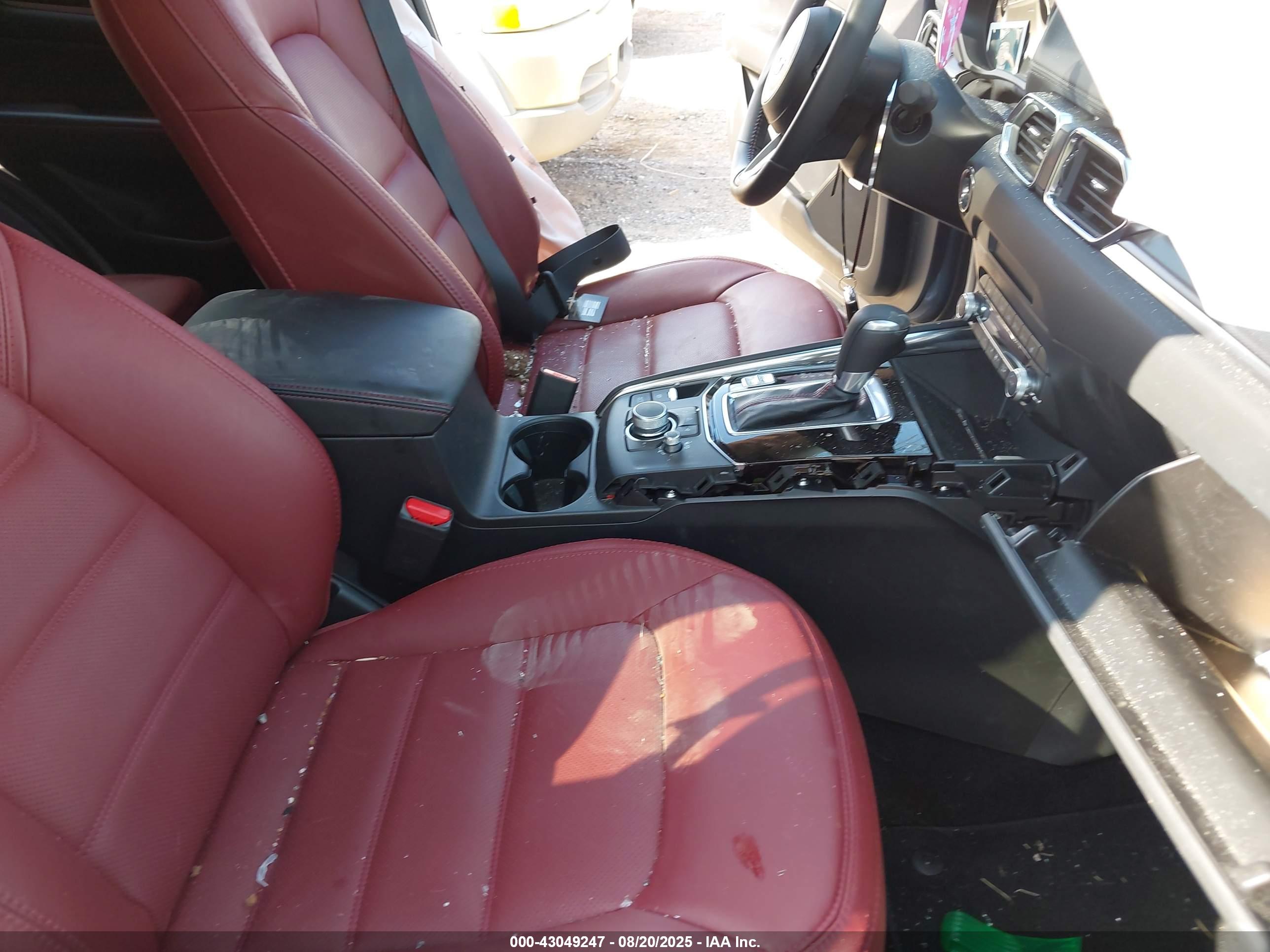Image 5