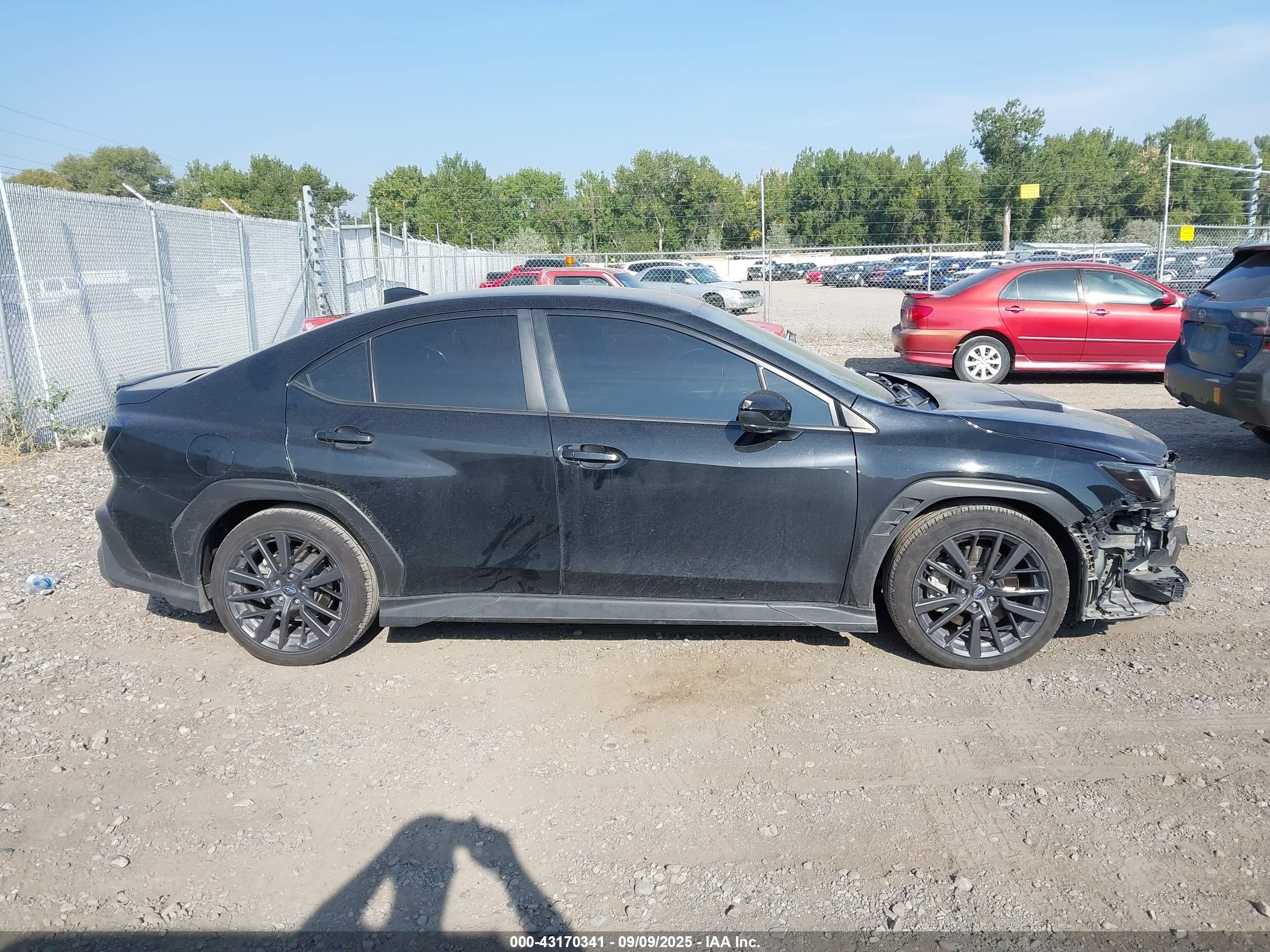 Image 14