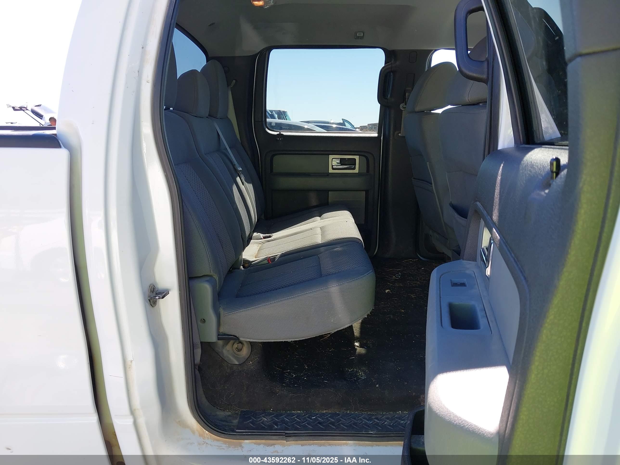 Image 8