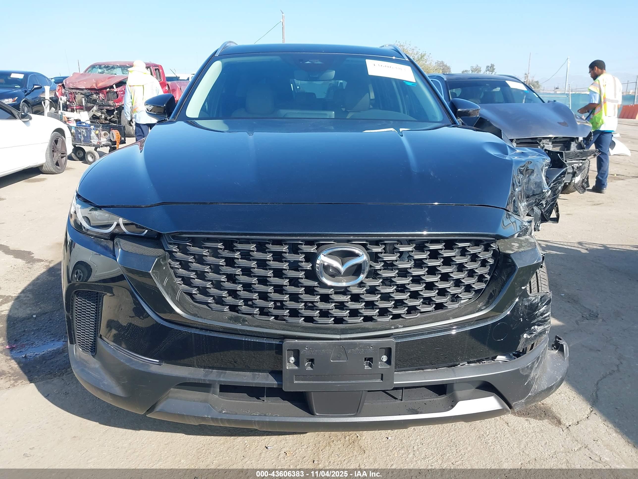 Image 12