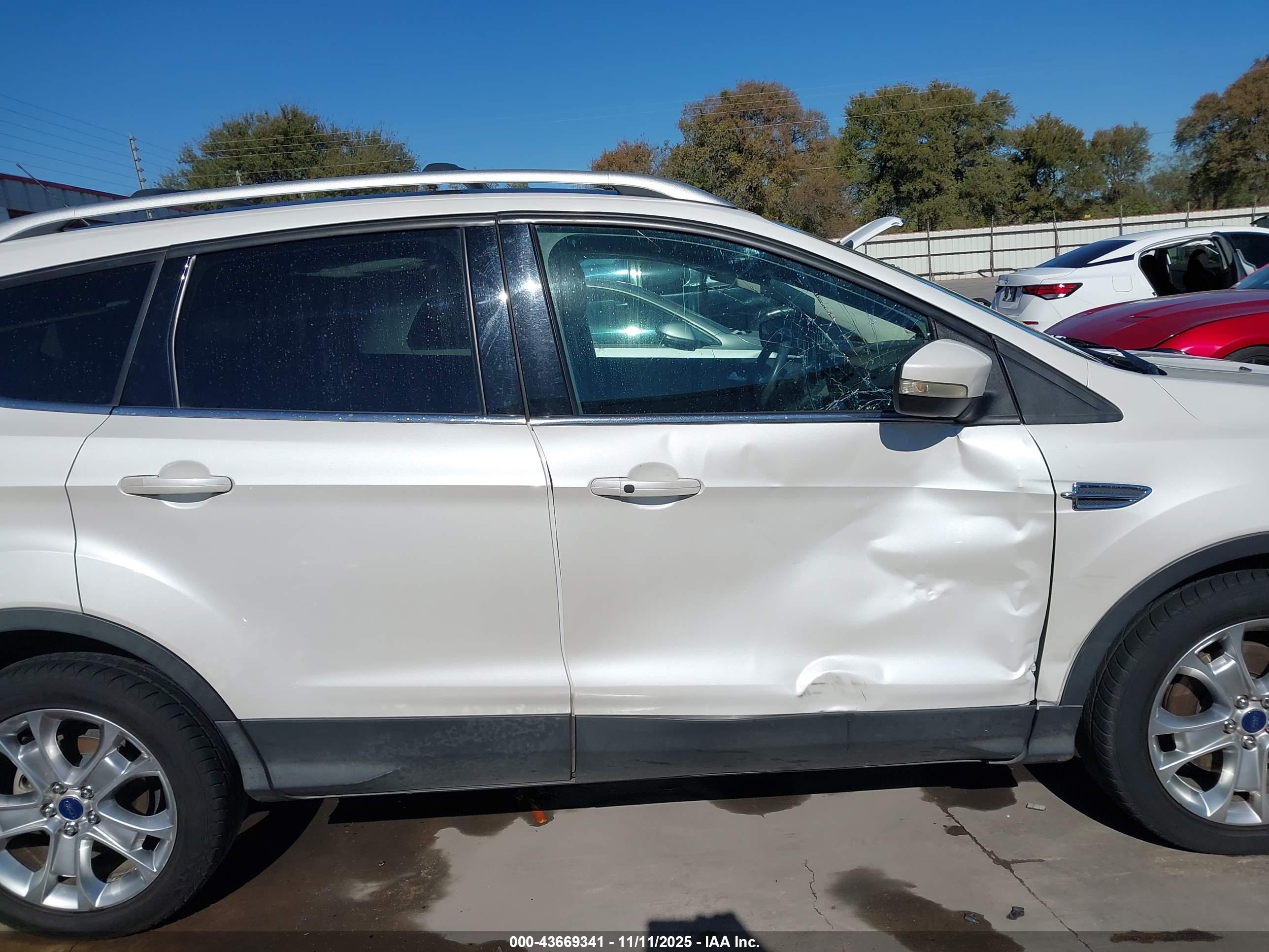 Image 13