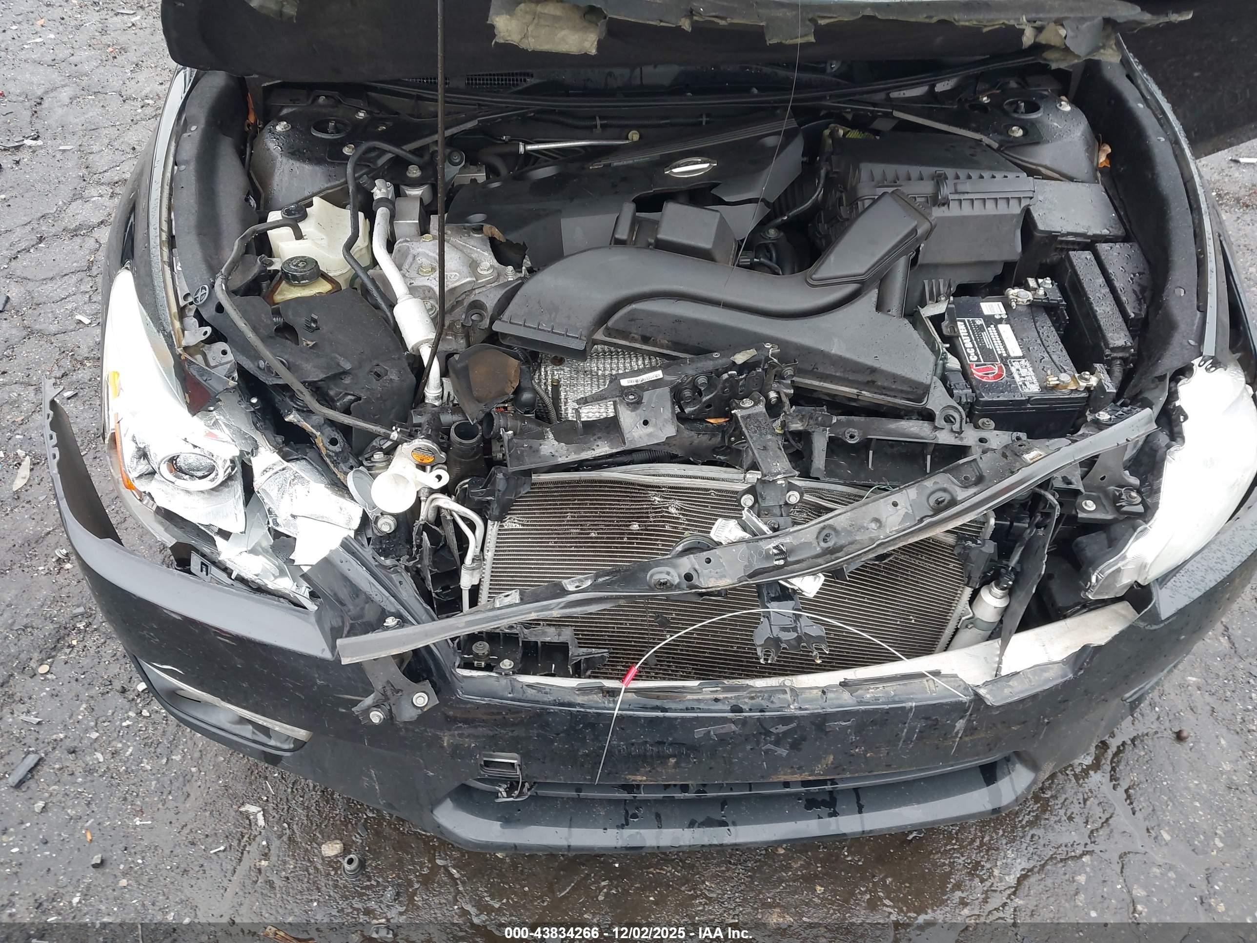 Image 10