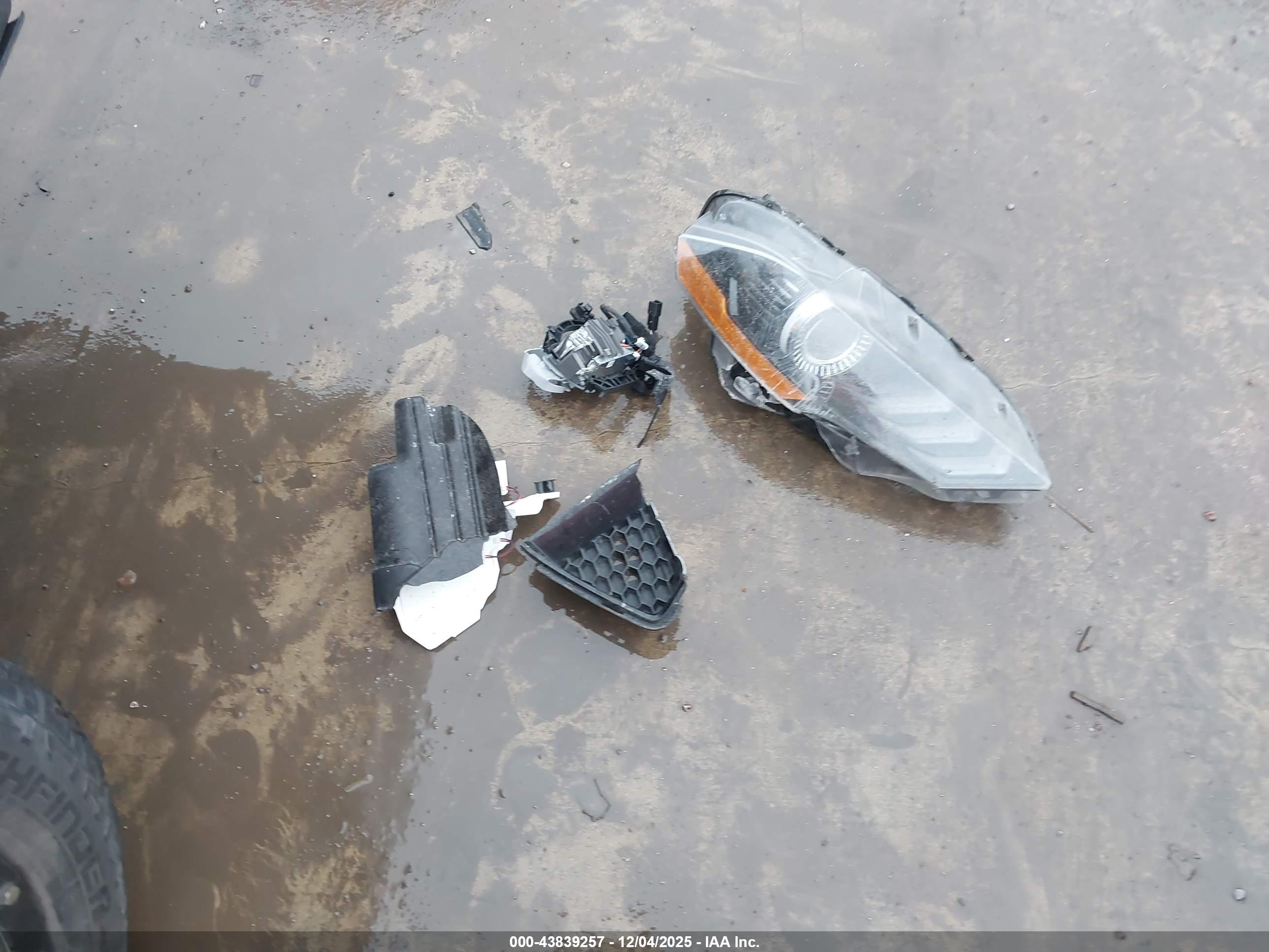 Image 12