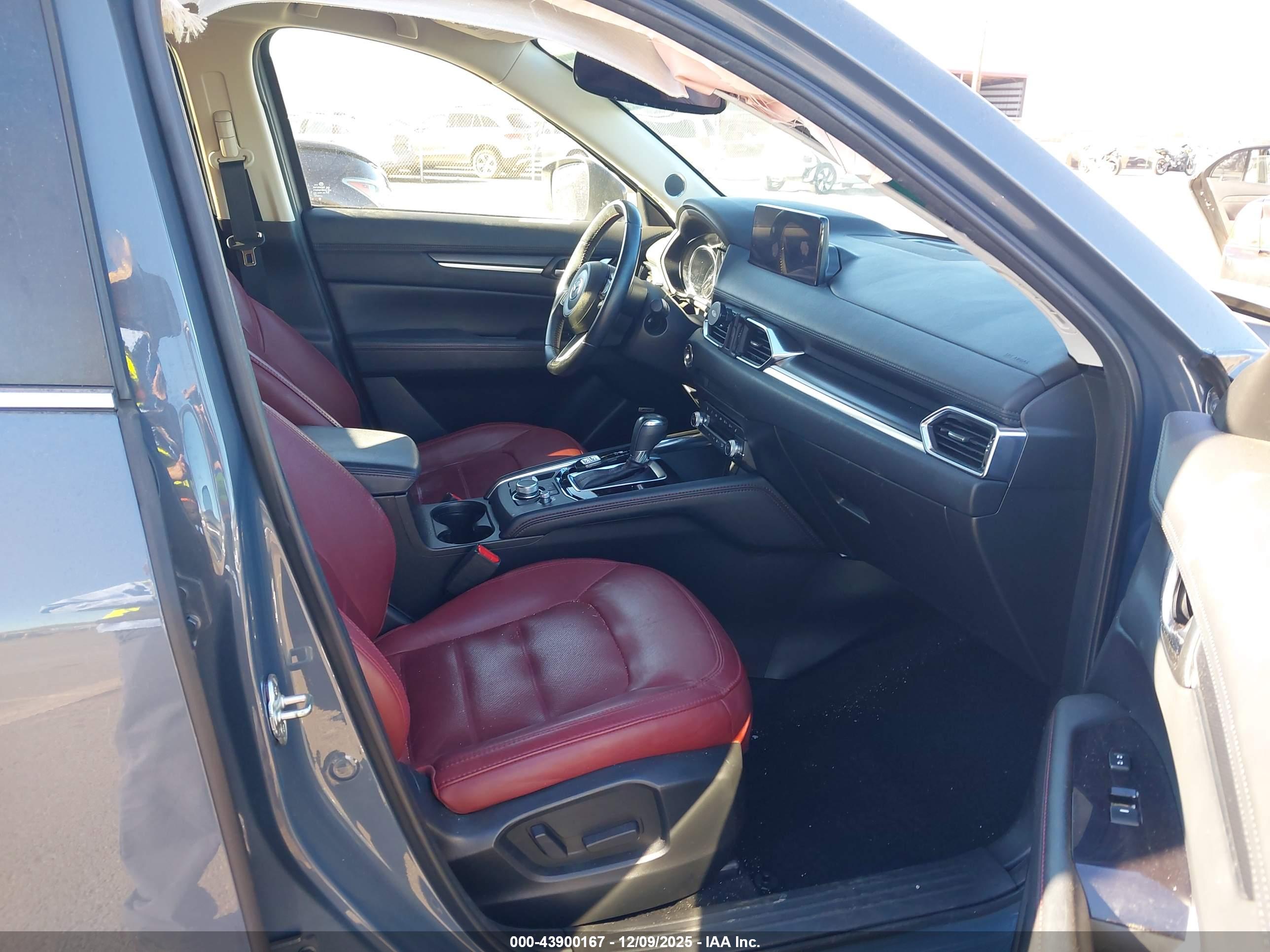 Image 5