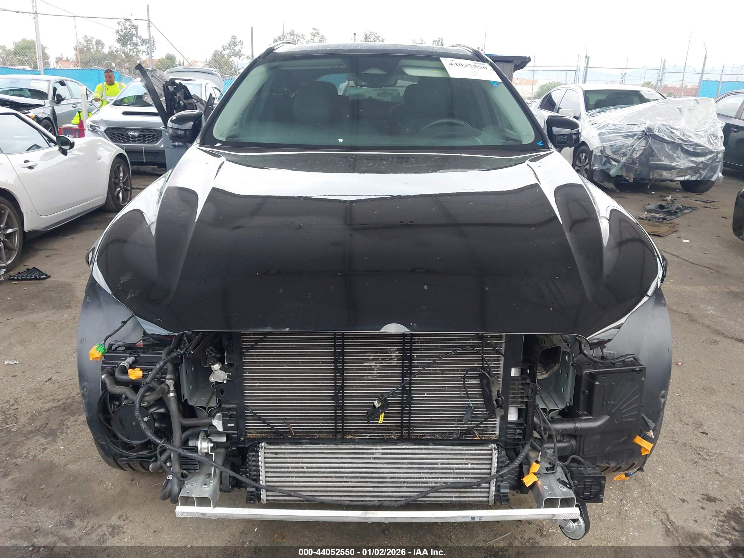 Image 13