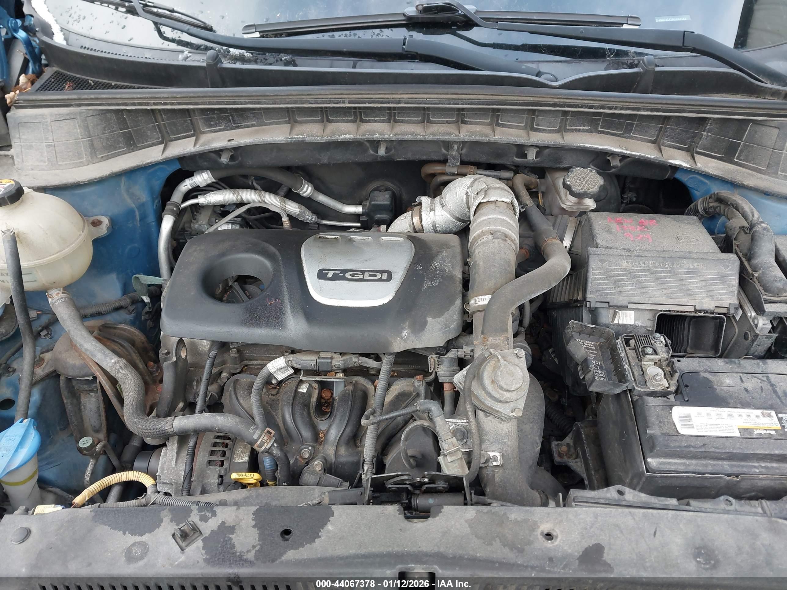 Image 11
