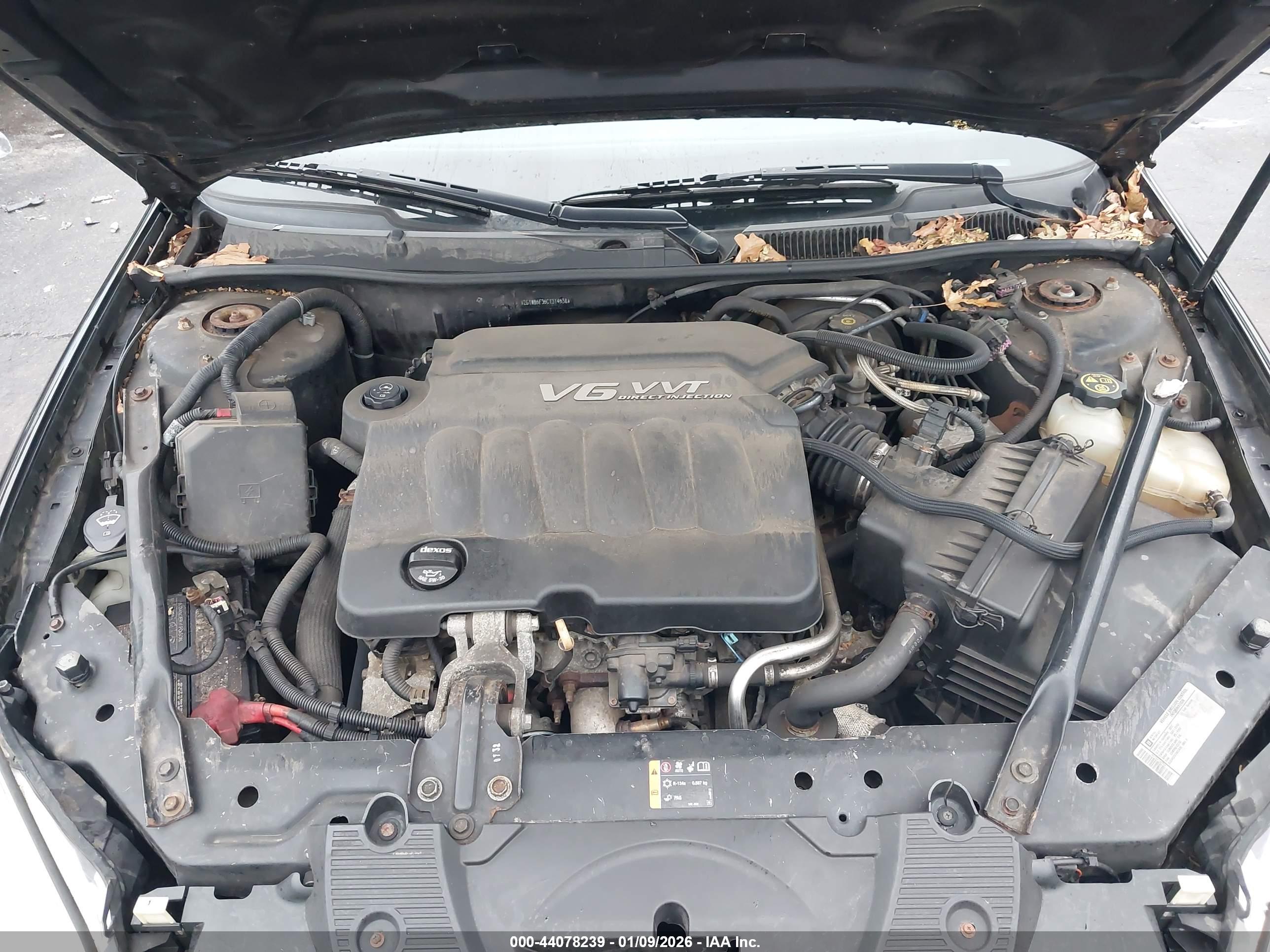 Image 10
