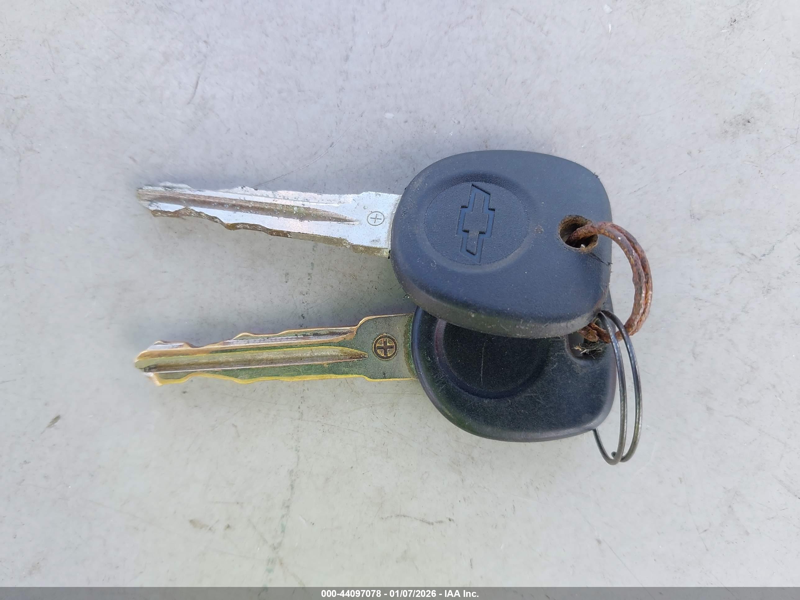 Image 11