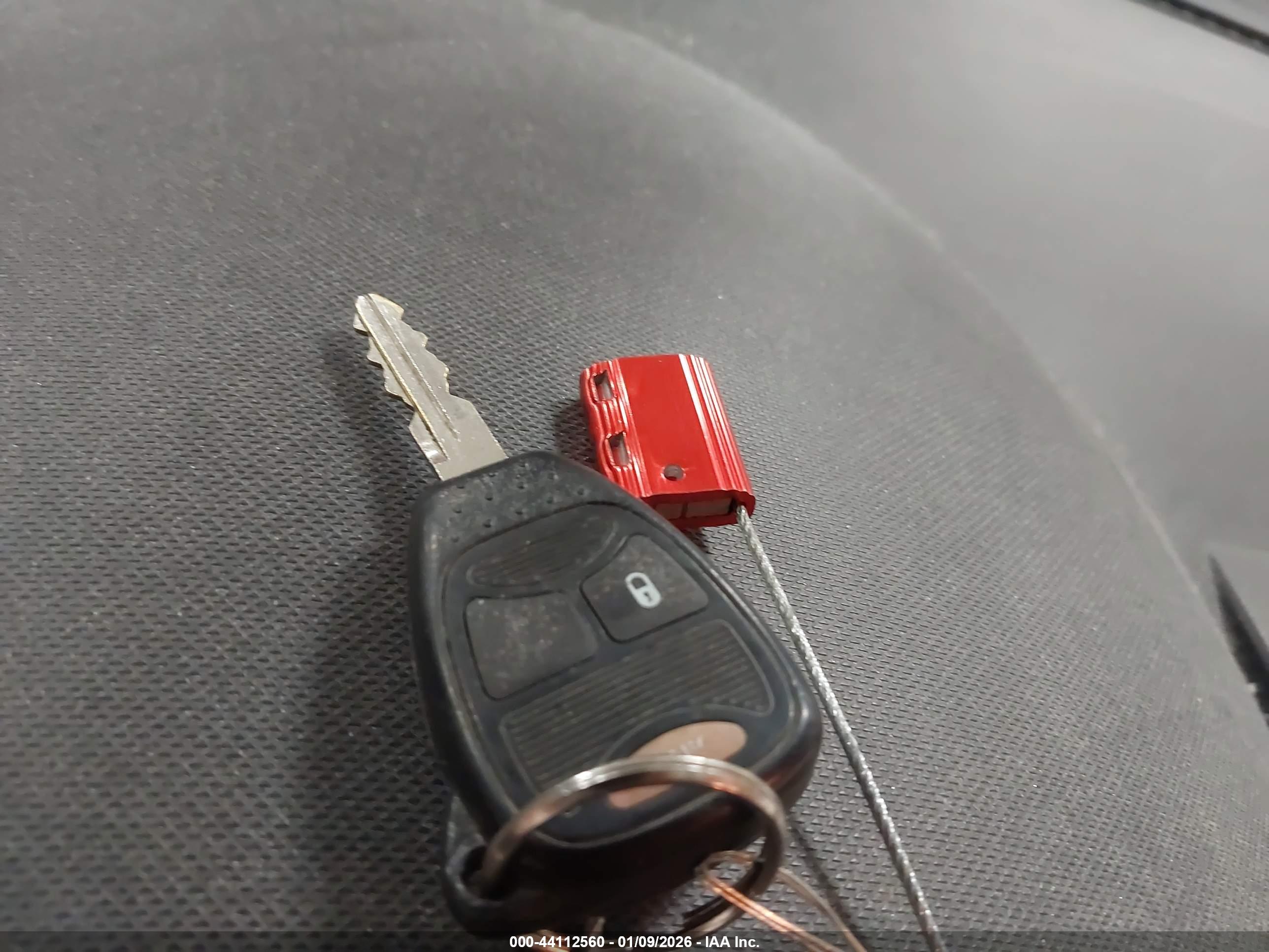 Image 11