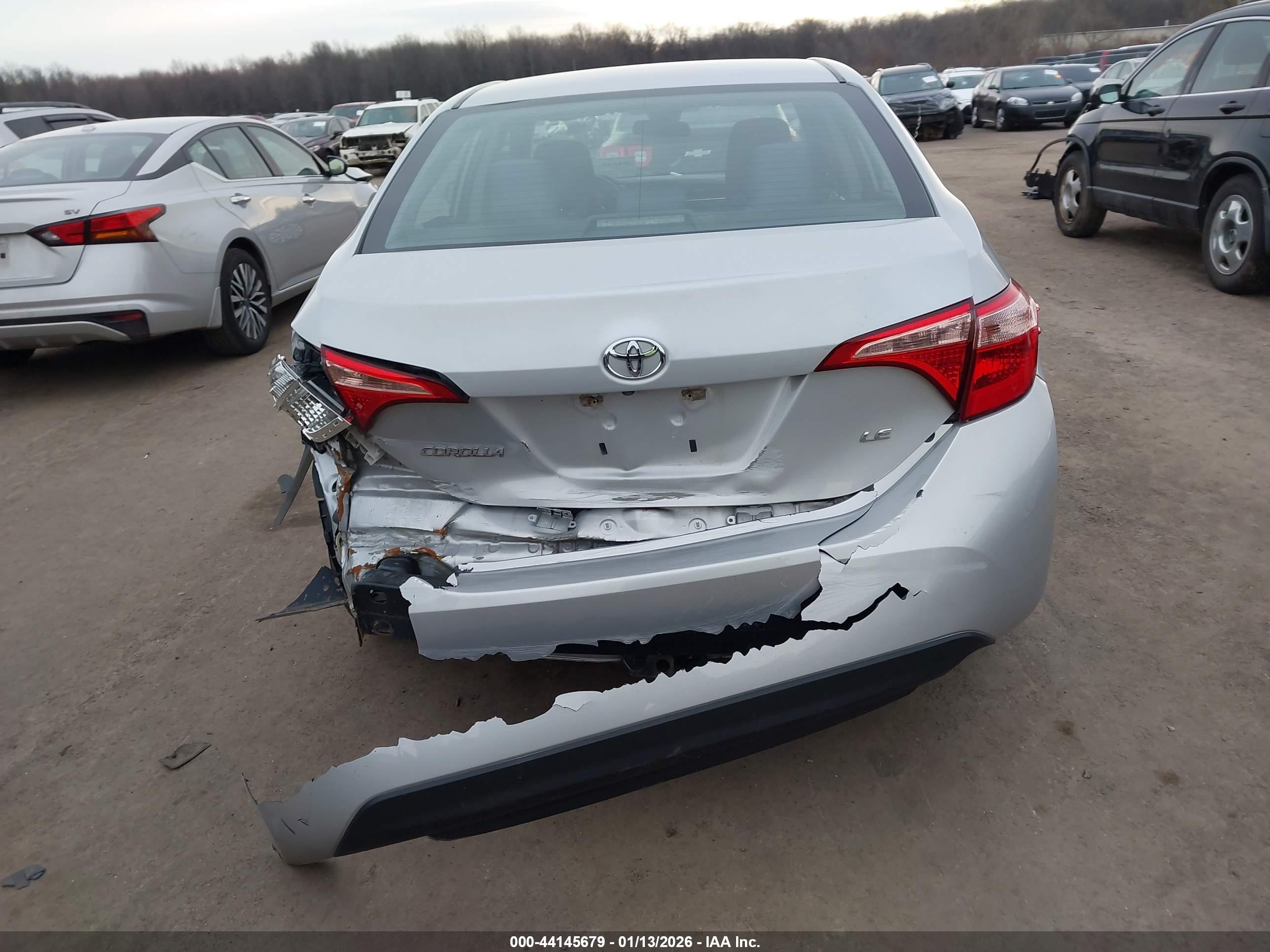 Image 16