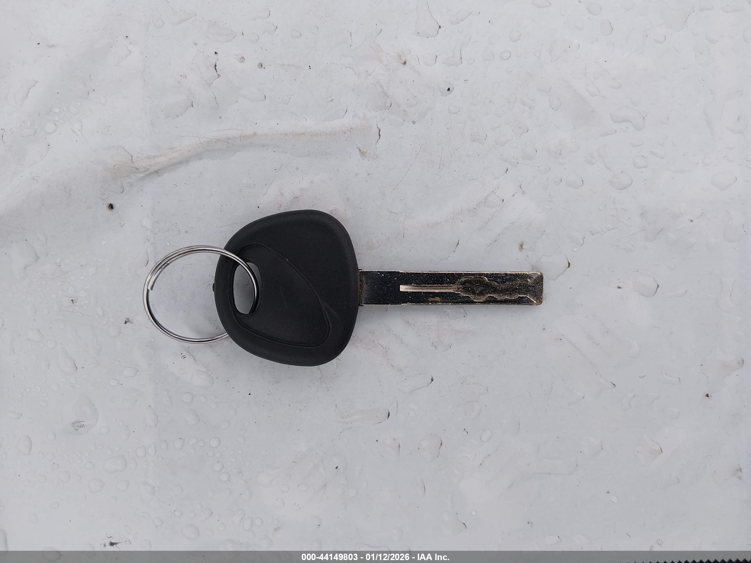 Image 11