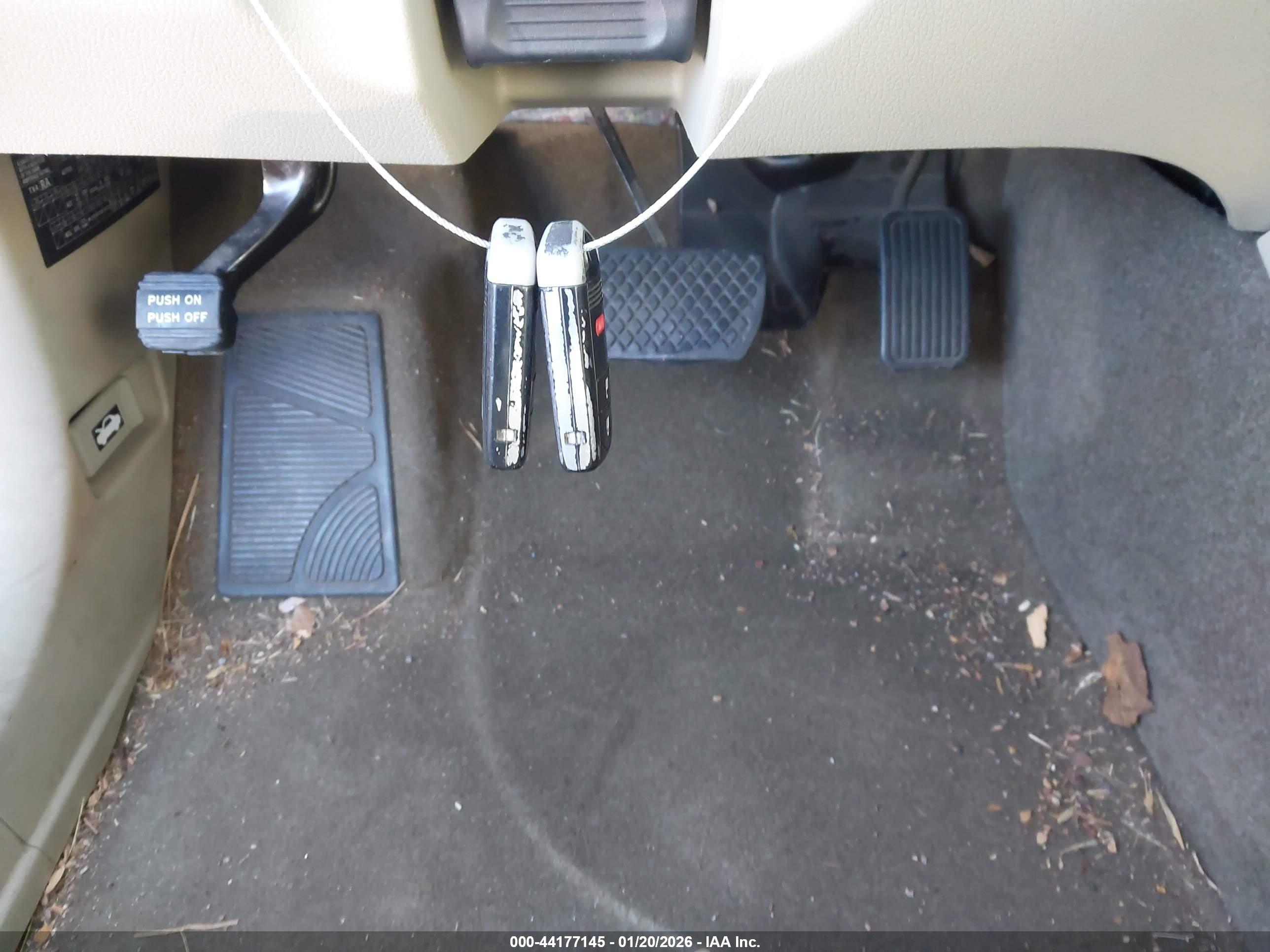 Image 11