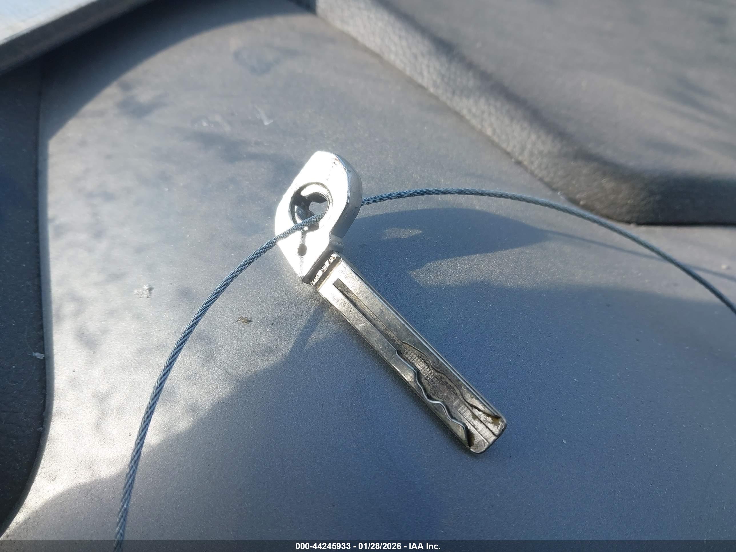 Image 11