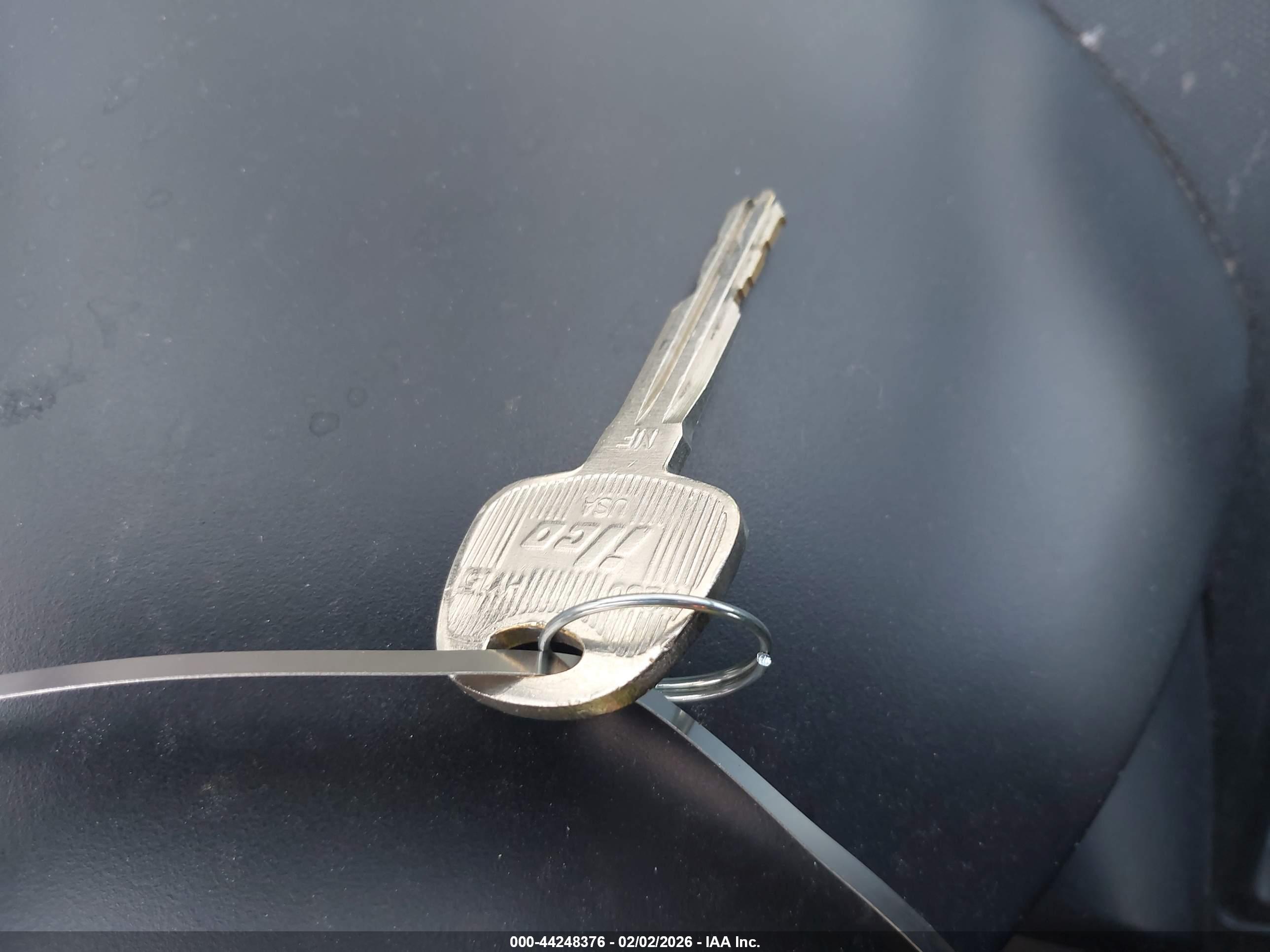 Image 11