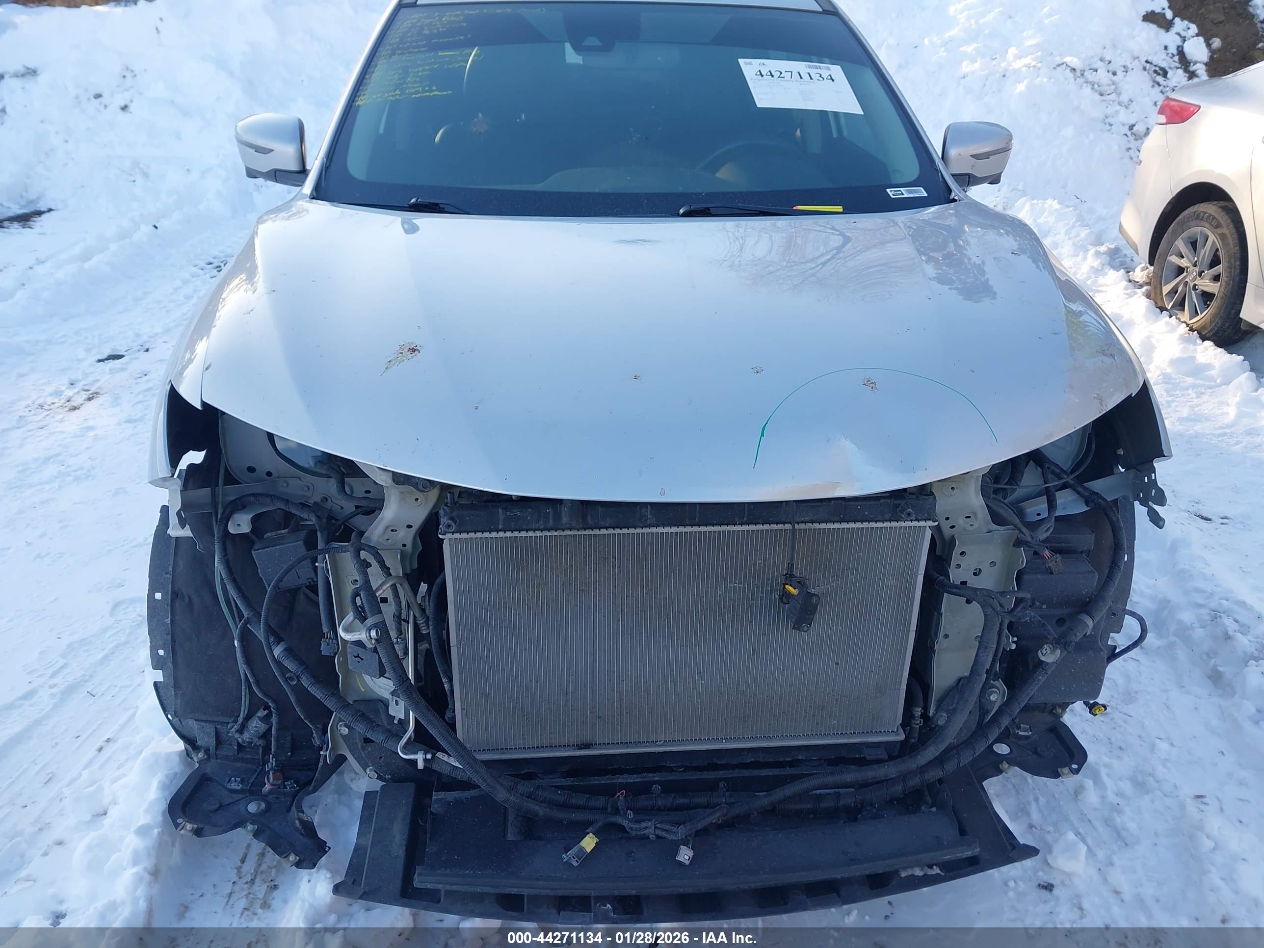 Image 13