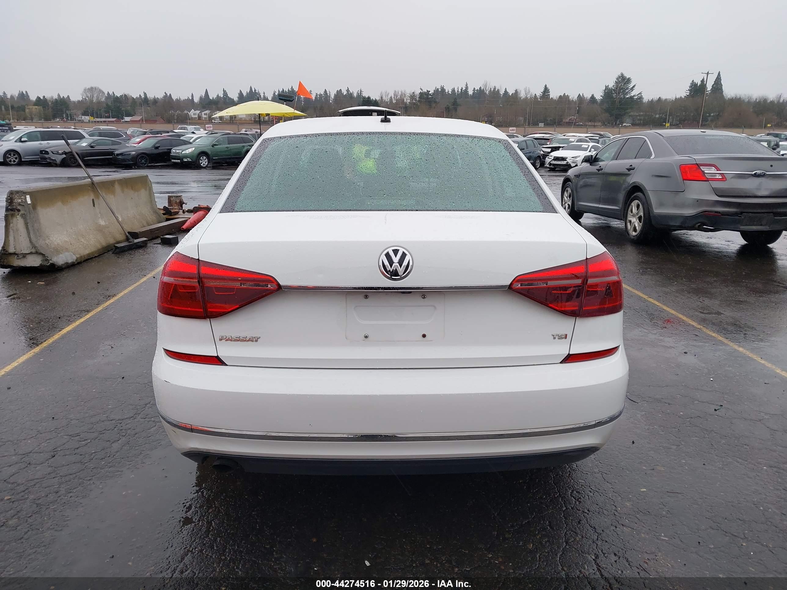 Image 16