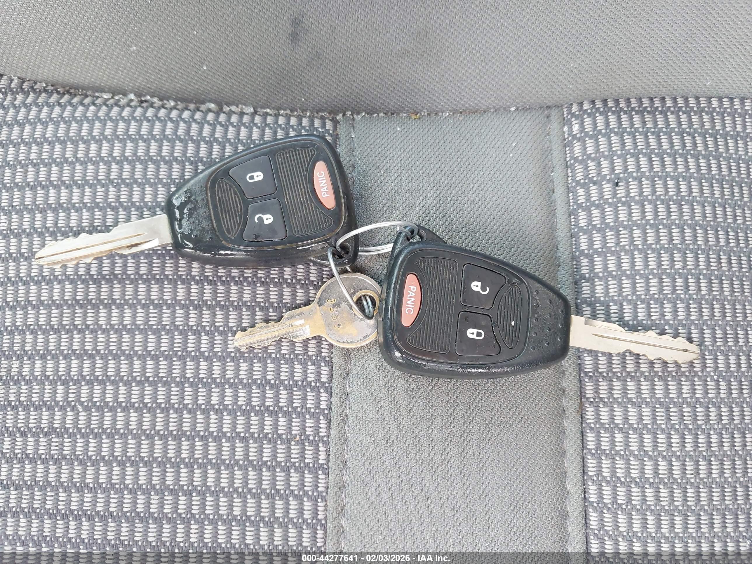 Image 11