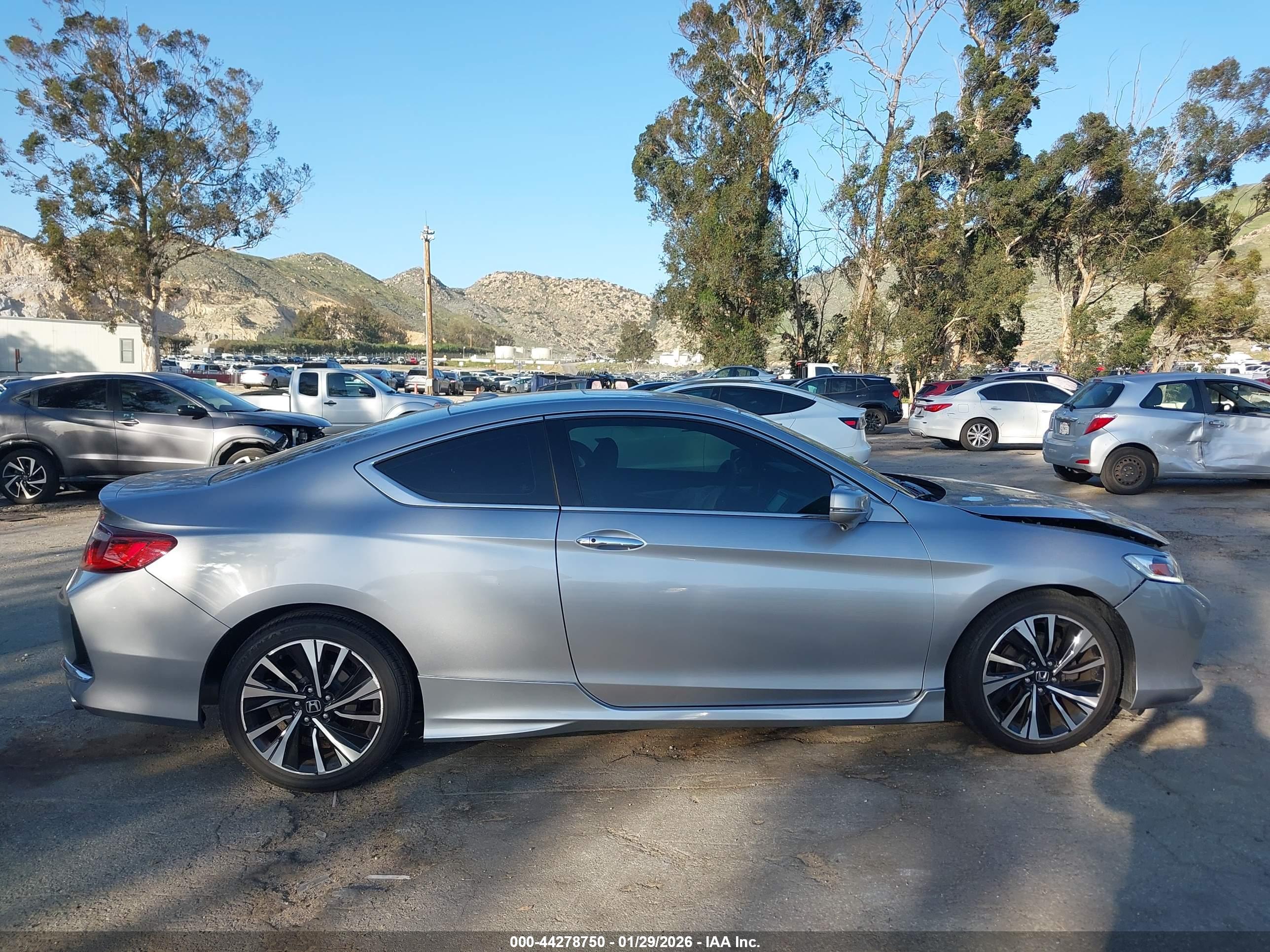 Image 13