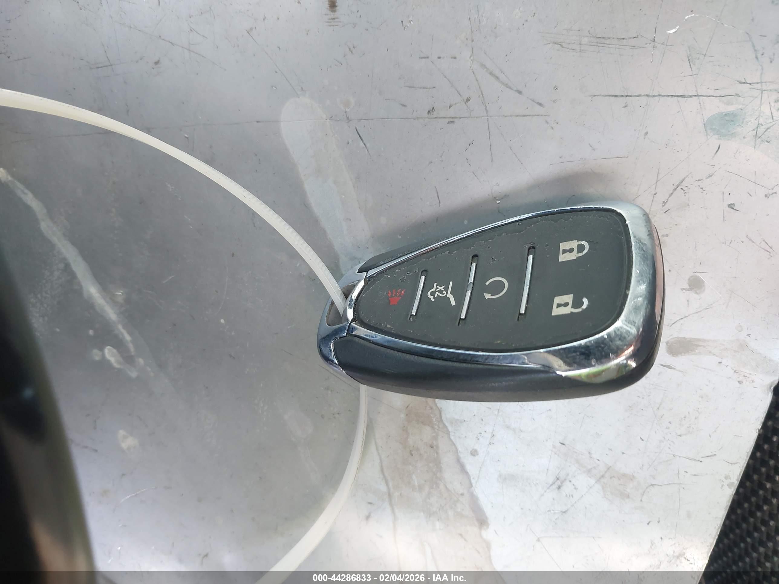 Image 11