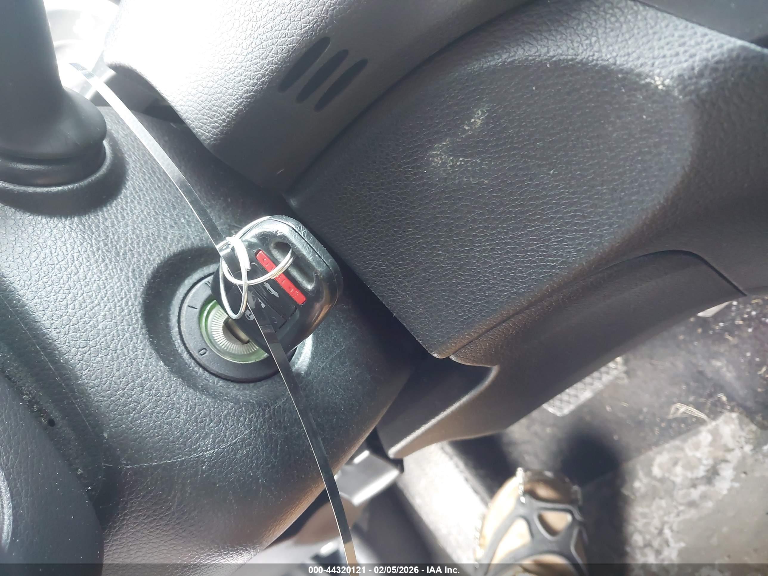 Image 11