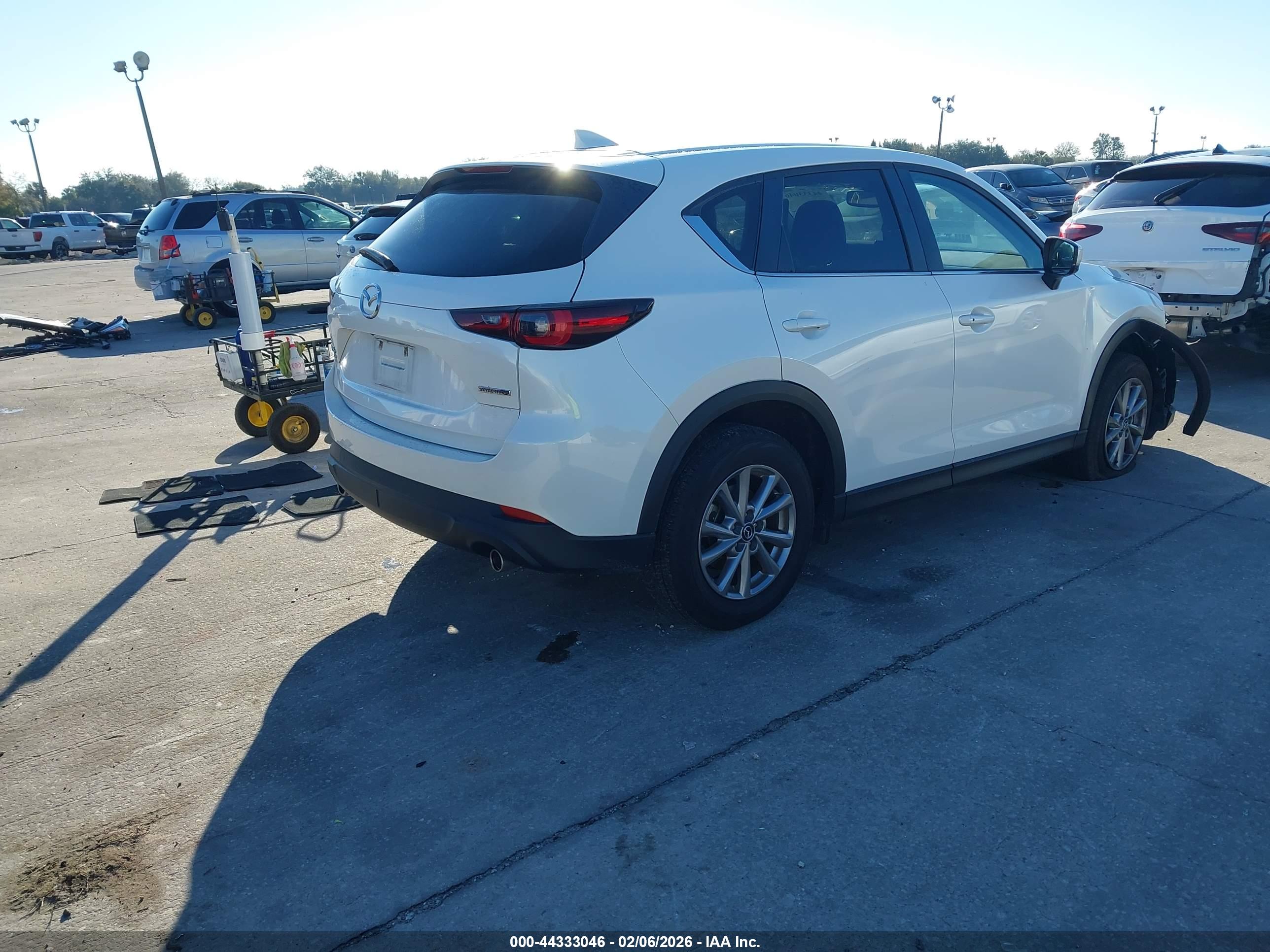 Image 4