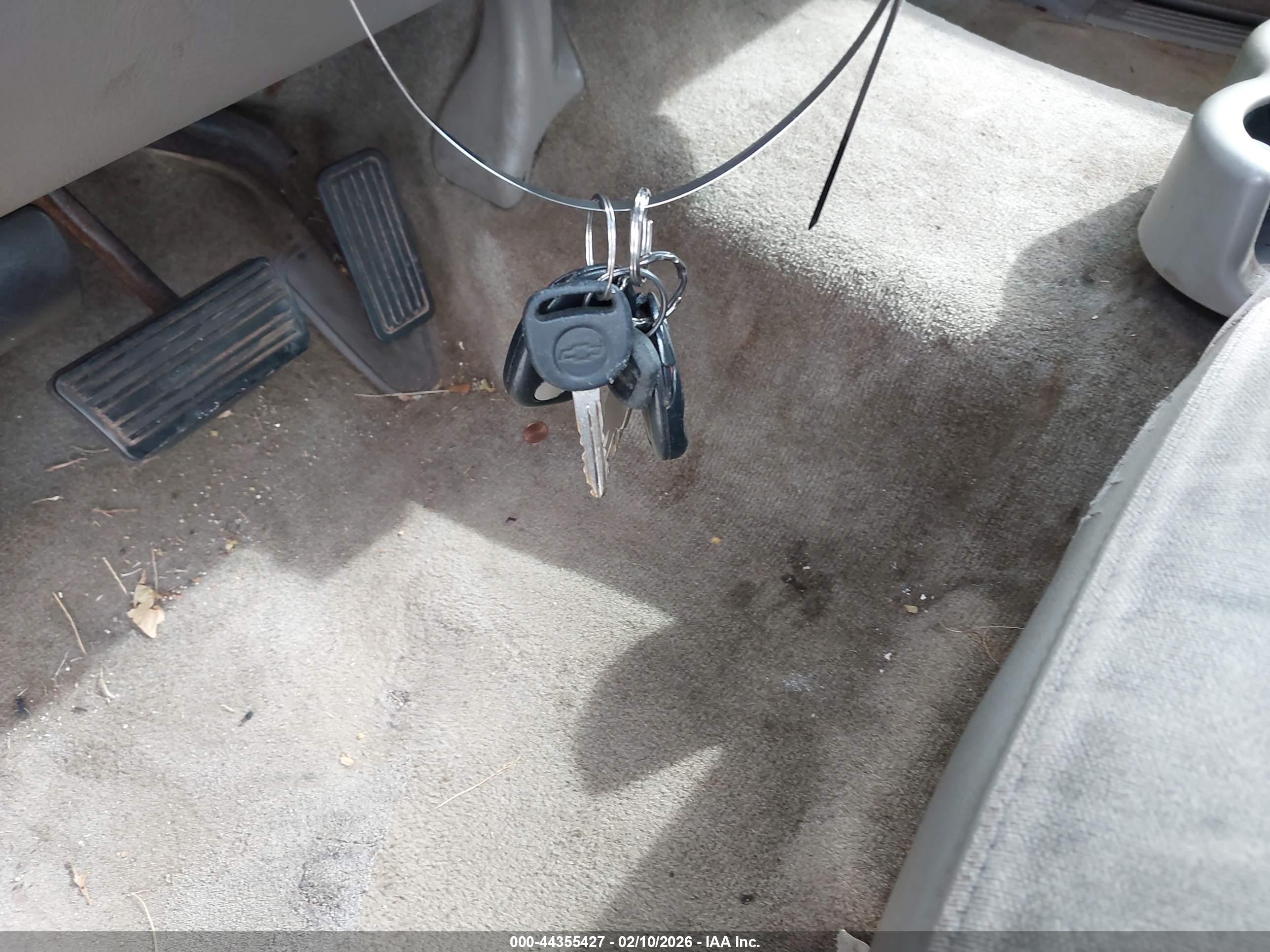 Image 11