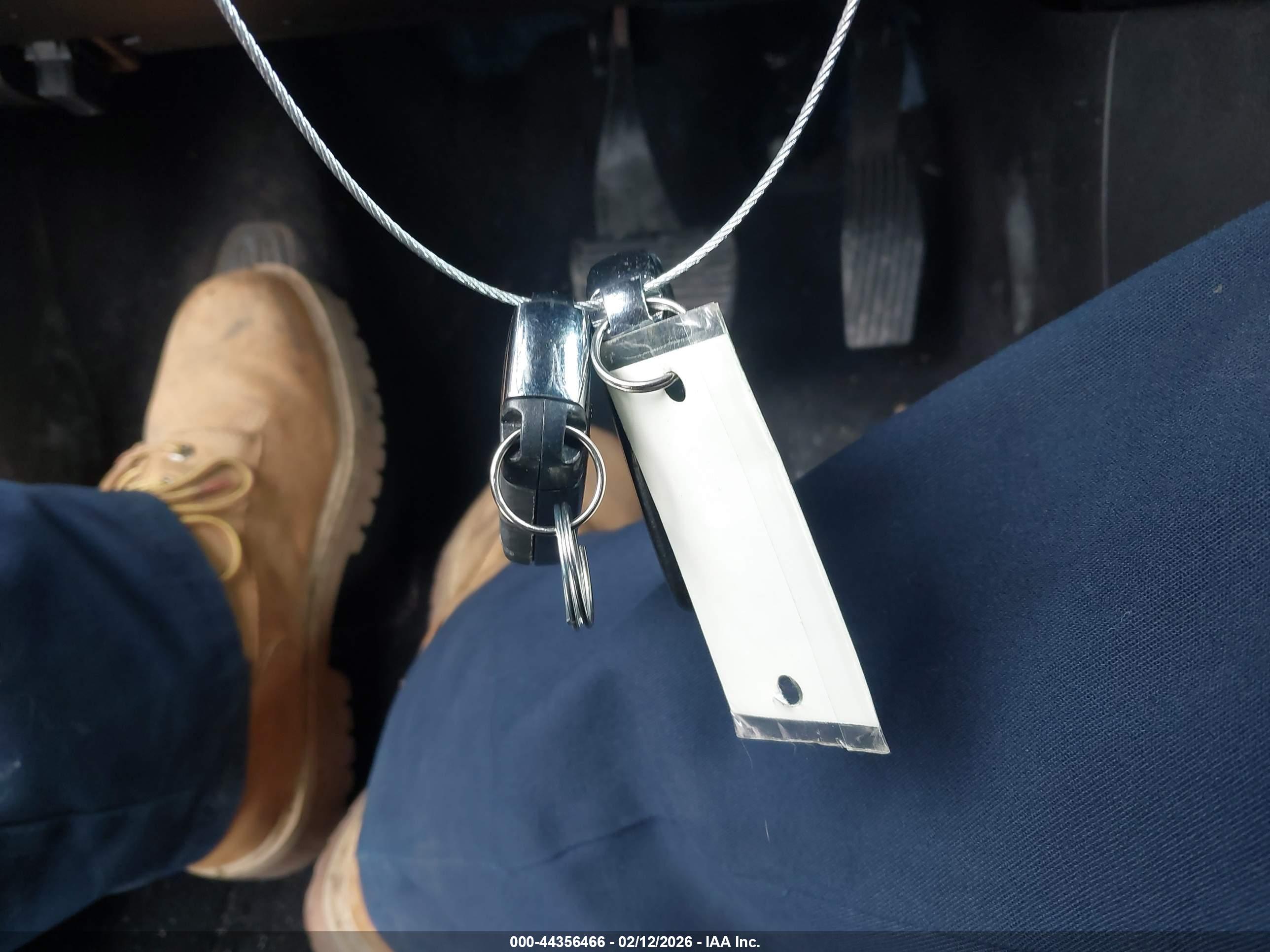 Image 11