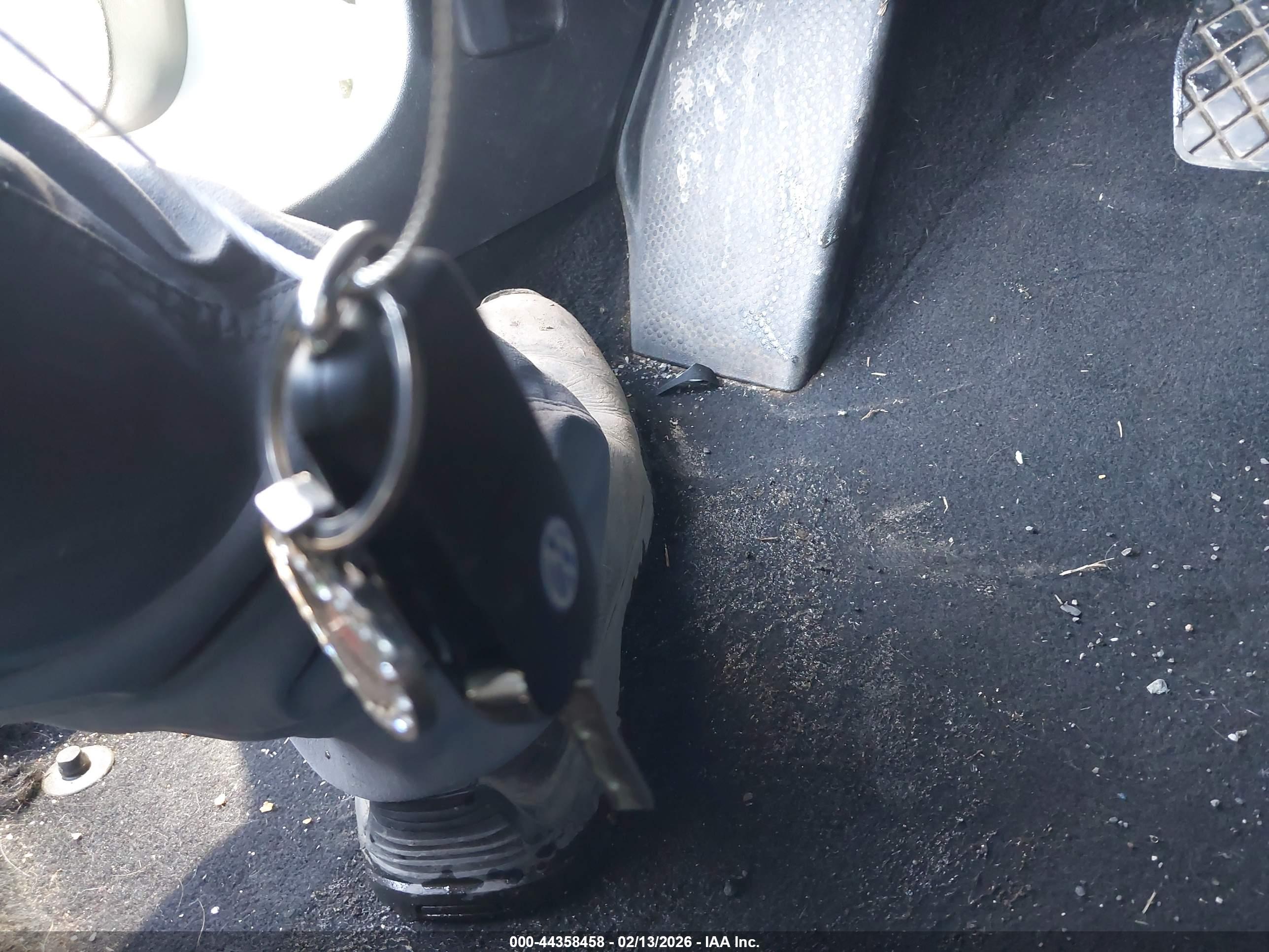Image 11