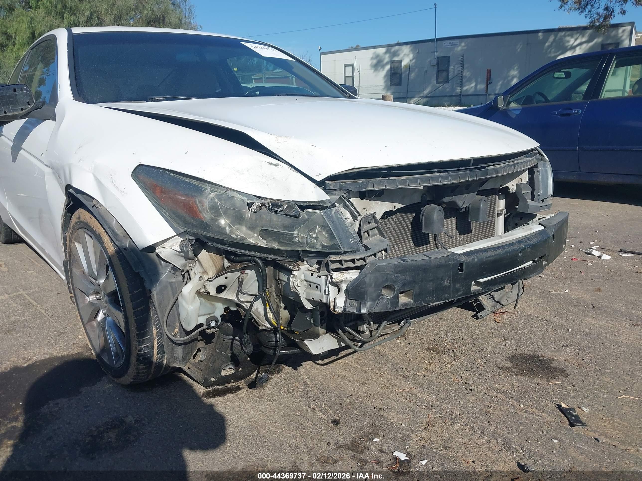 Image 13