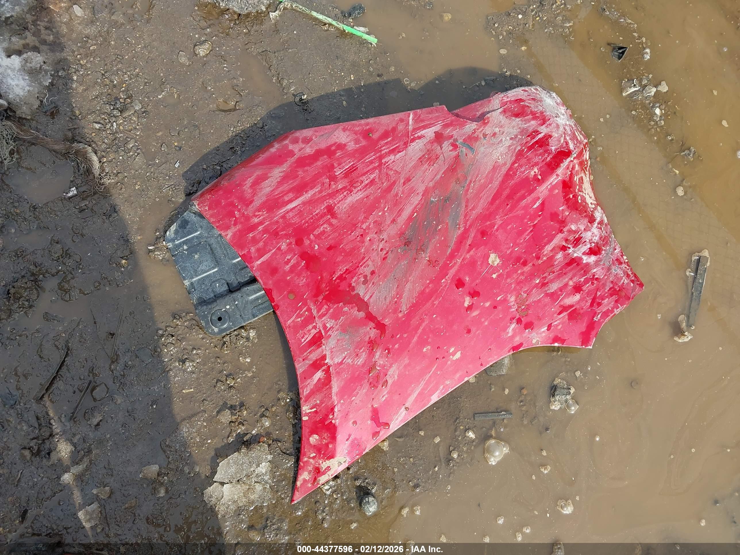 Image 13