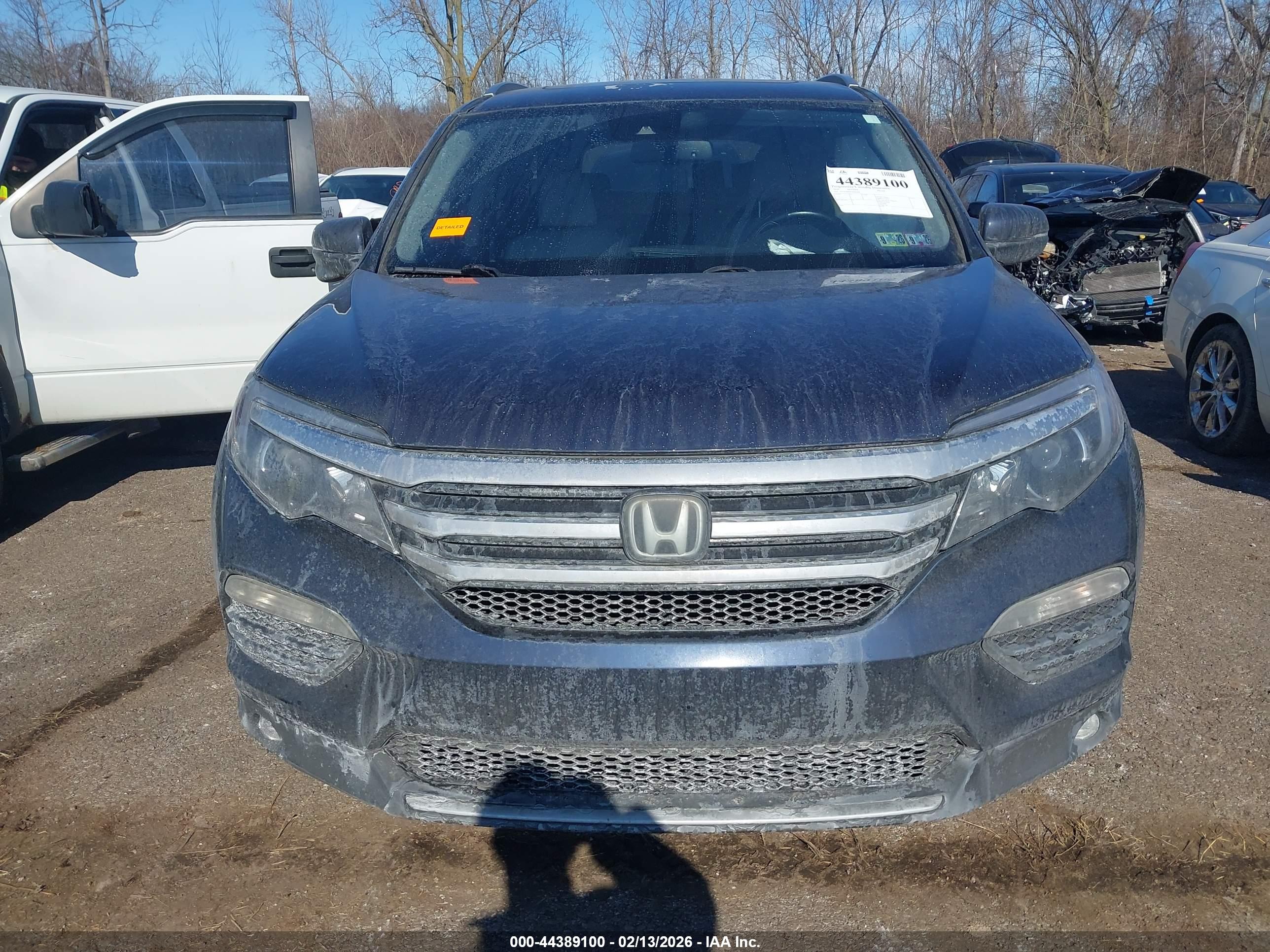 Image 12