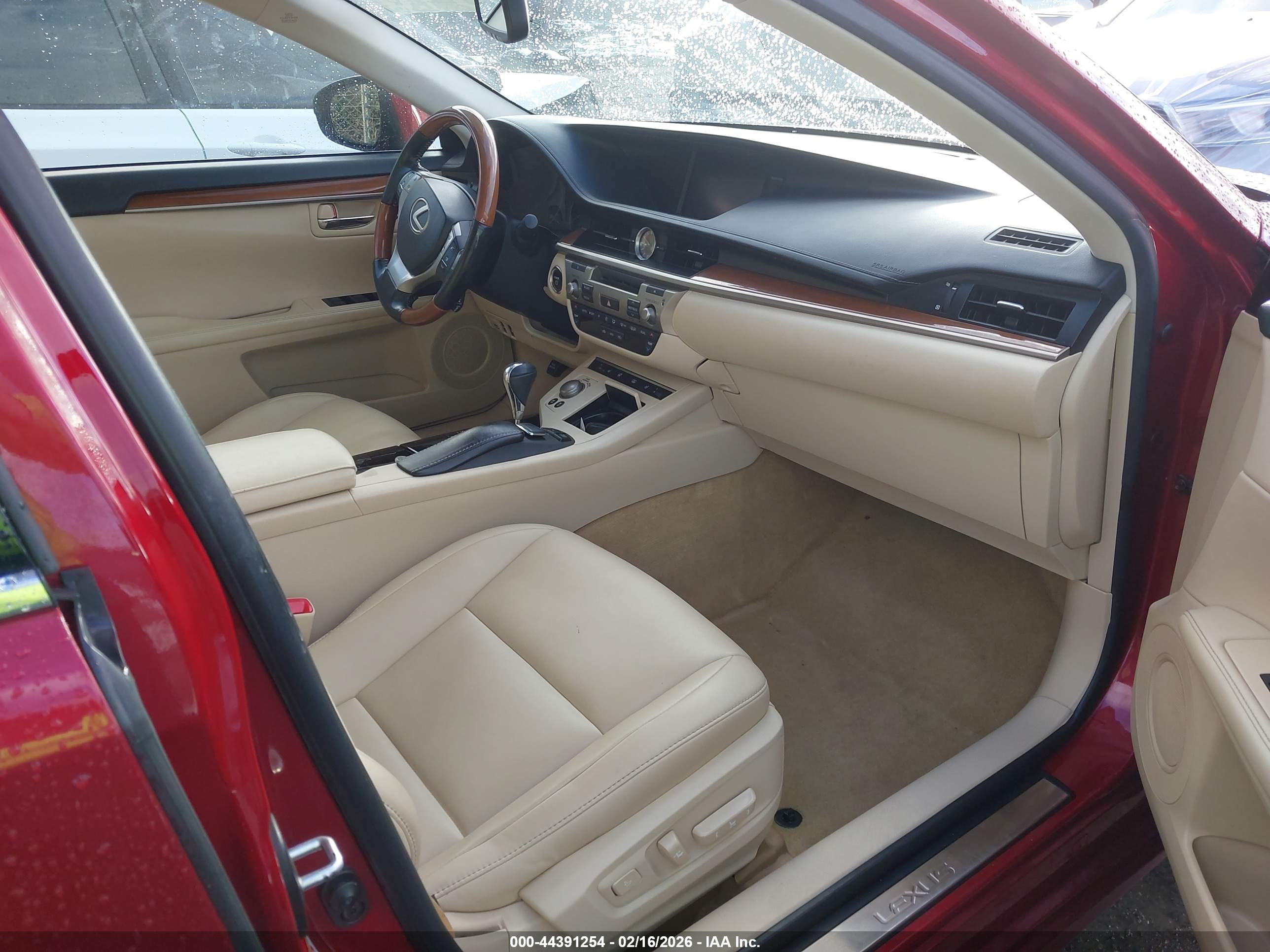 Image 6