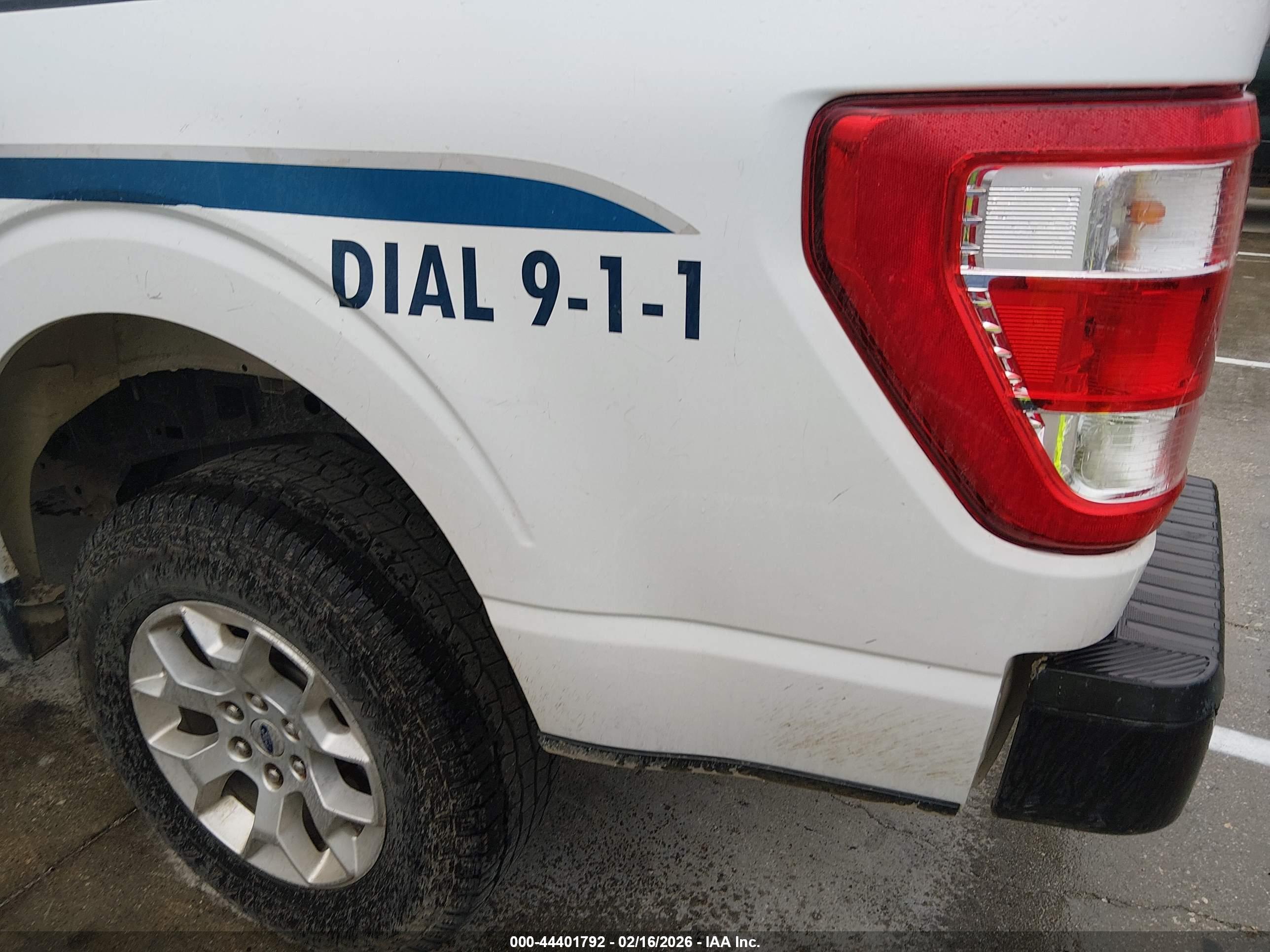 Image 13