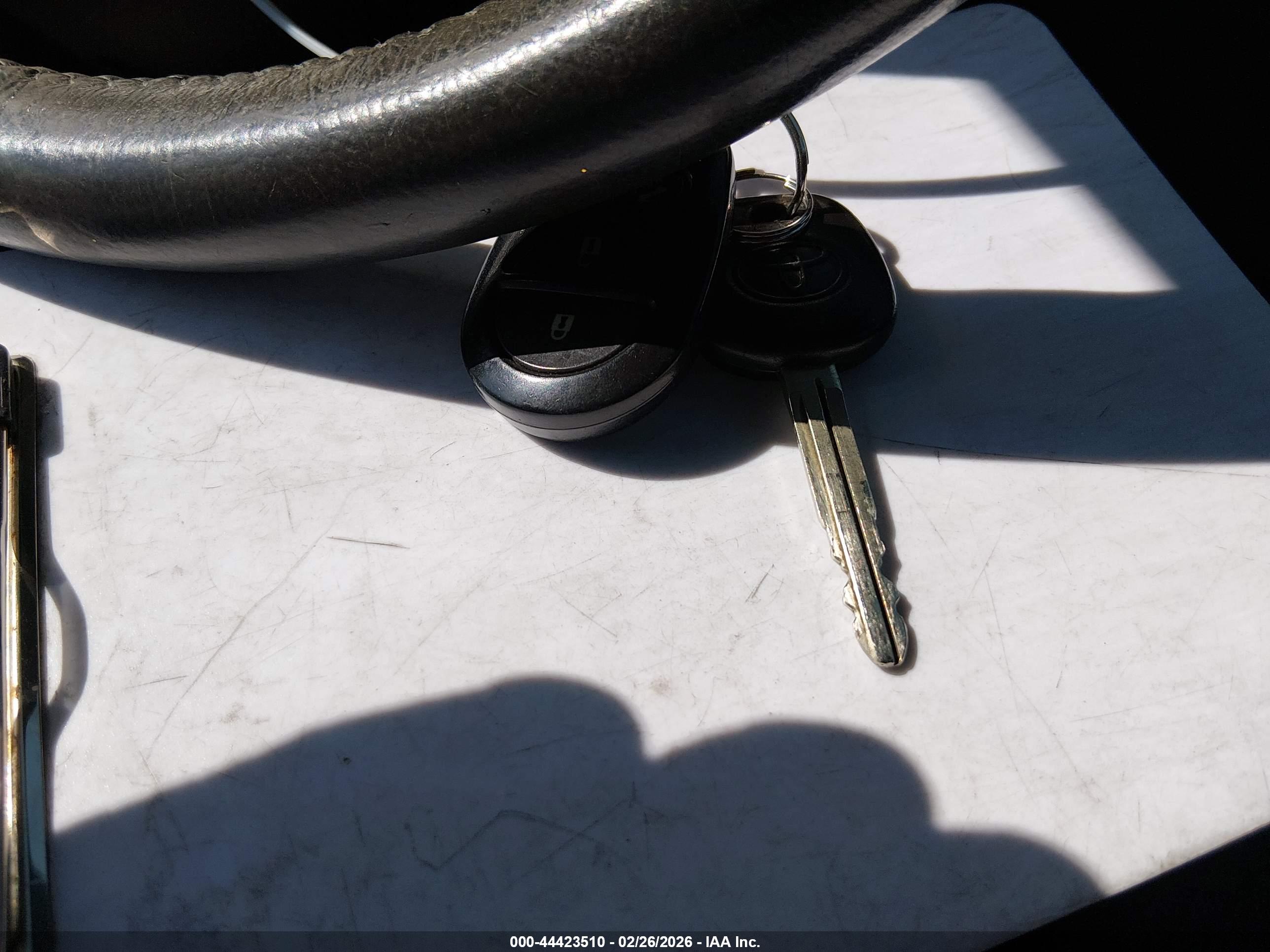Image 11