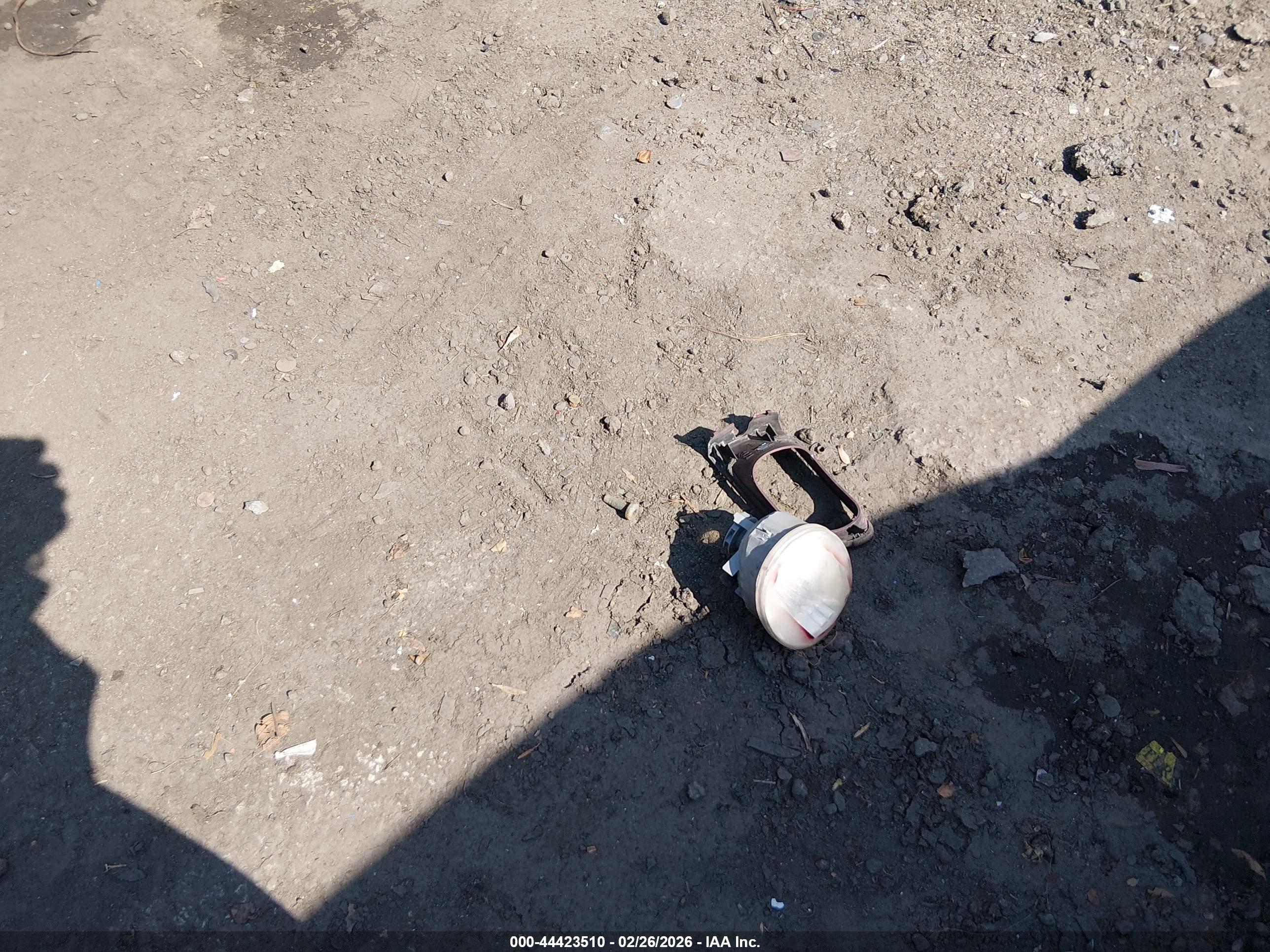 Image 12