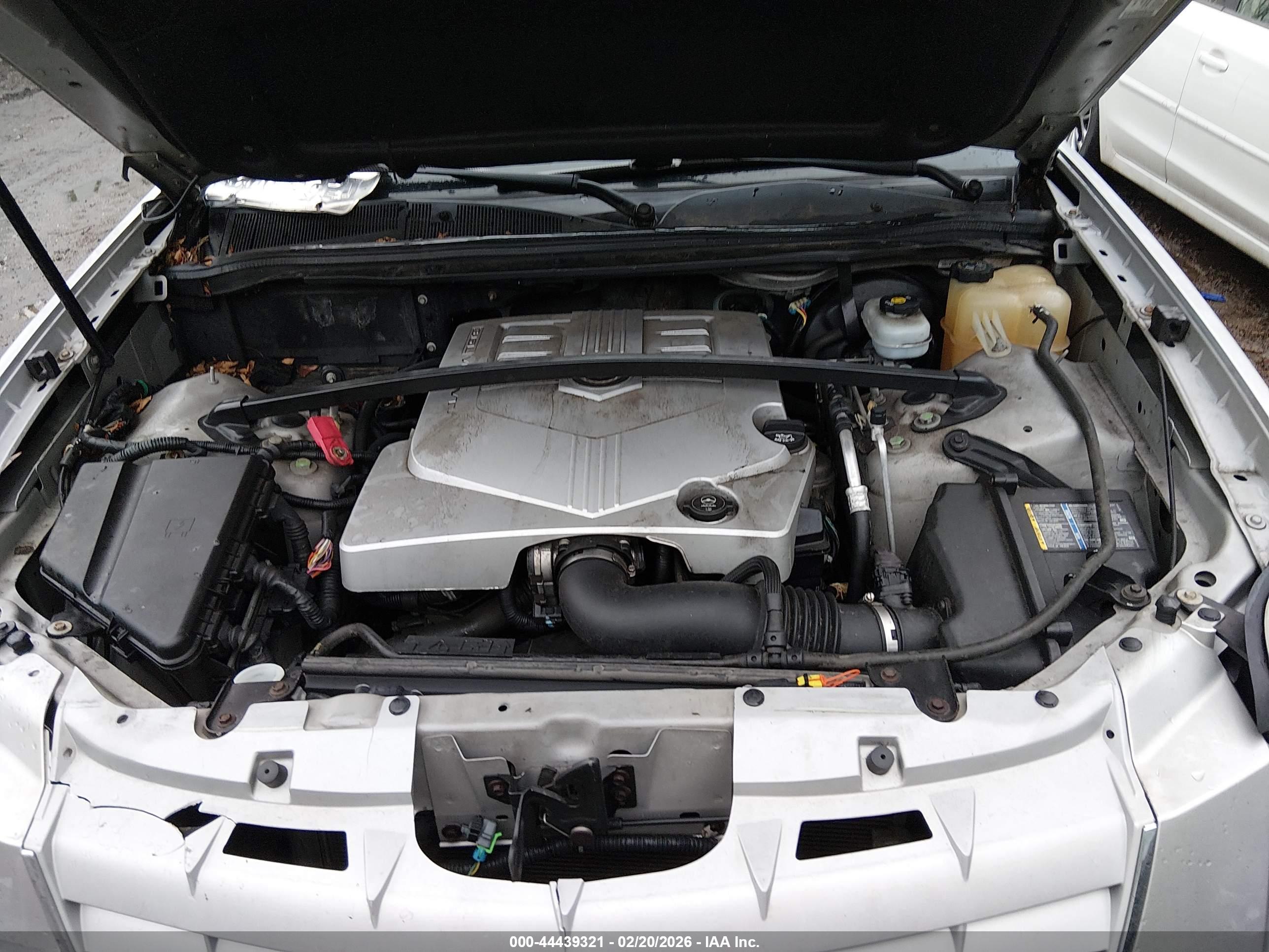 Image 11