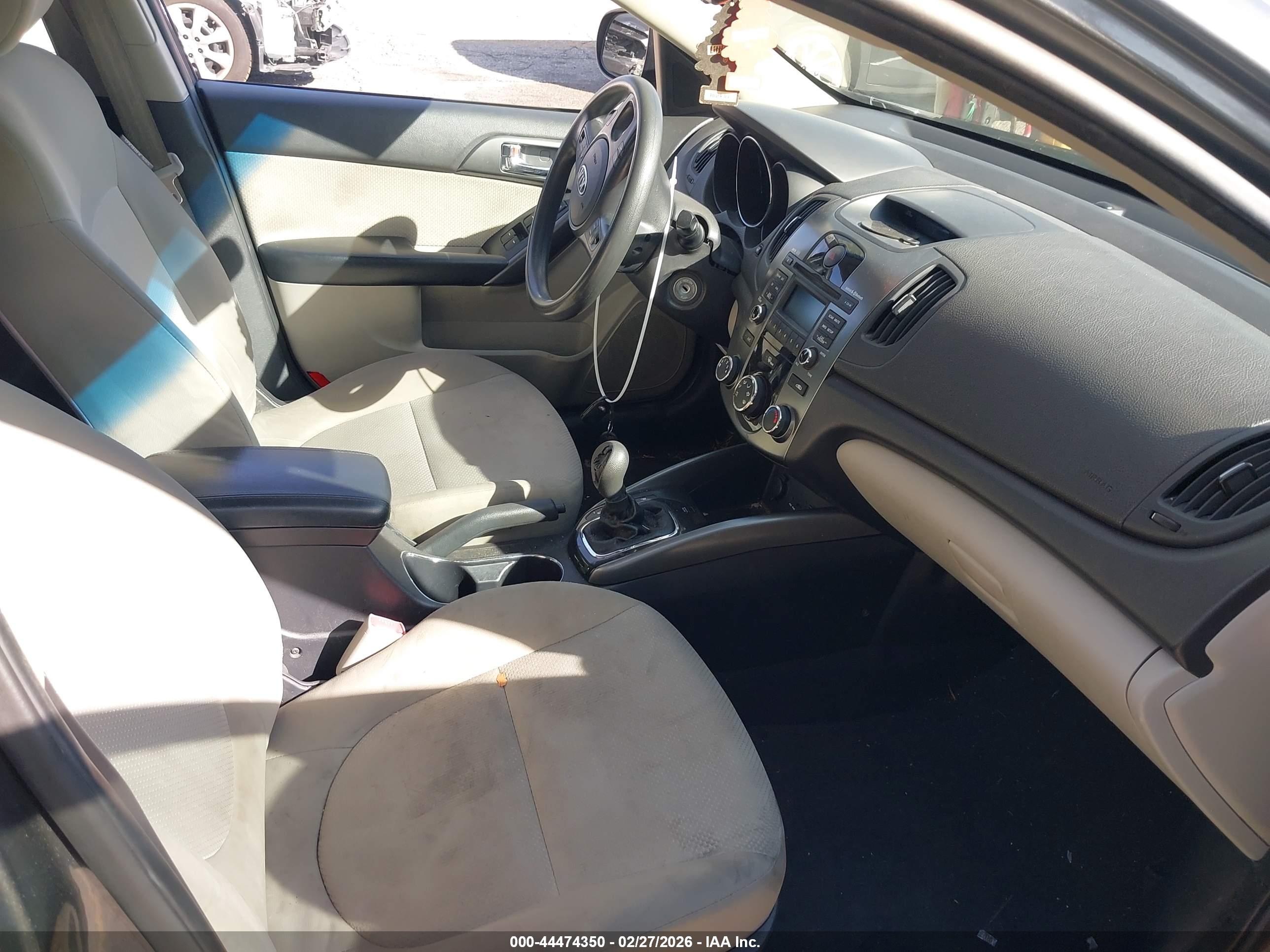 Image 5