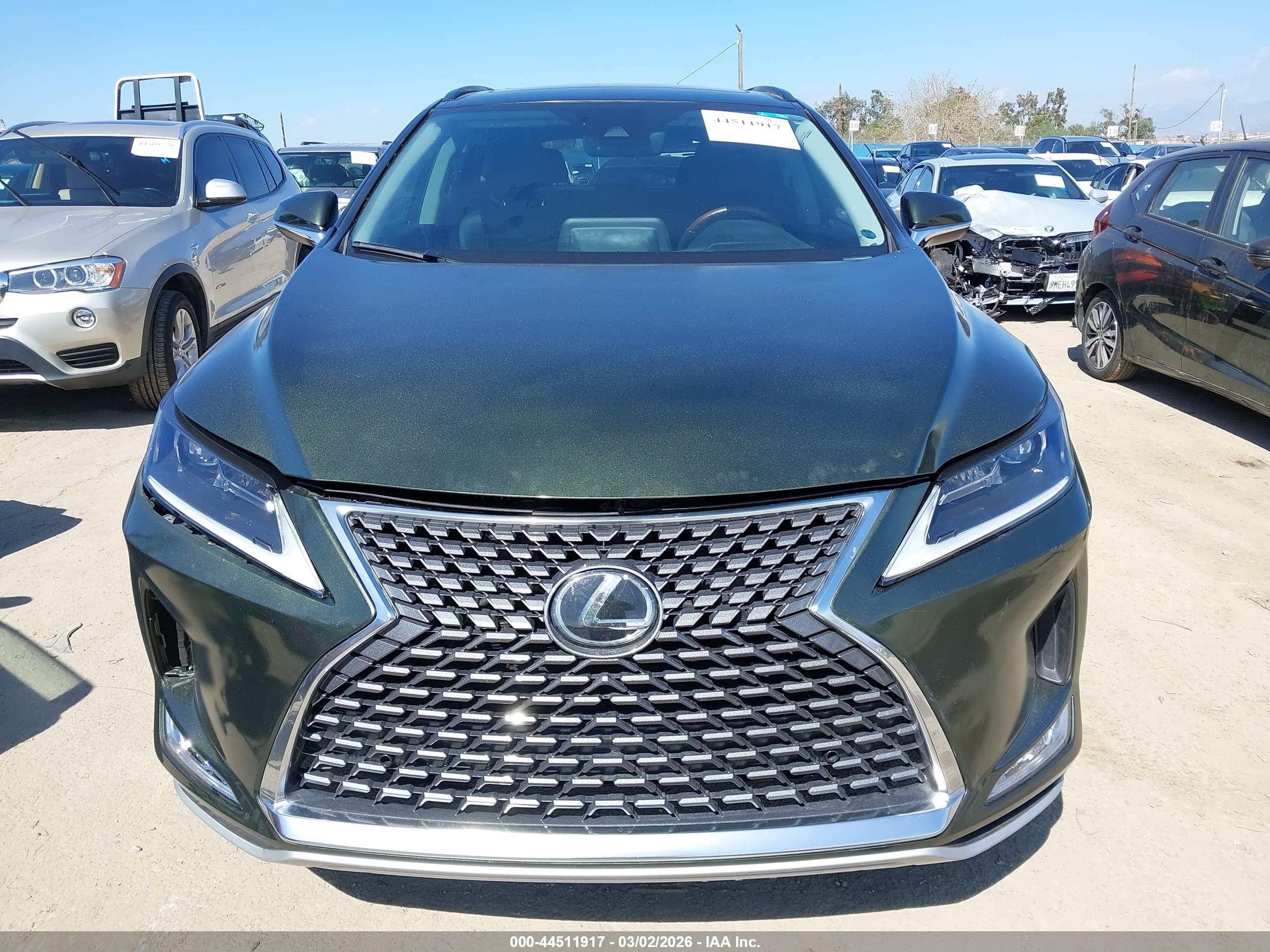 Image 12