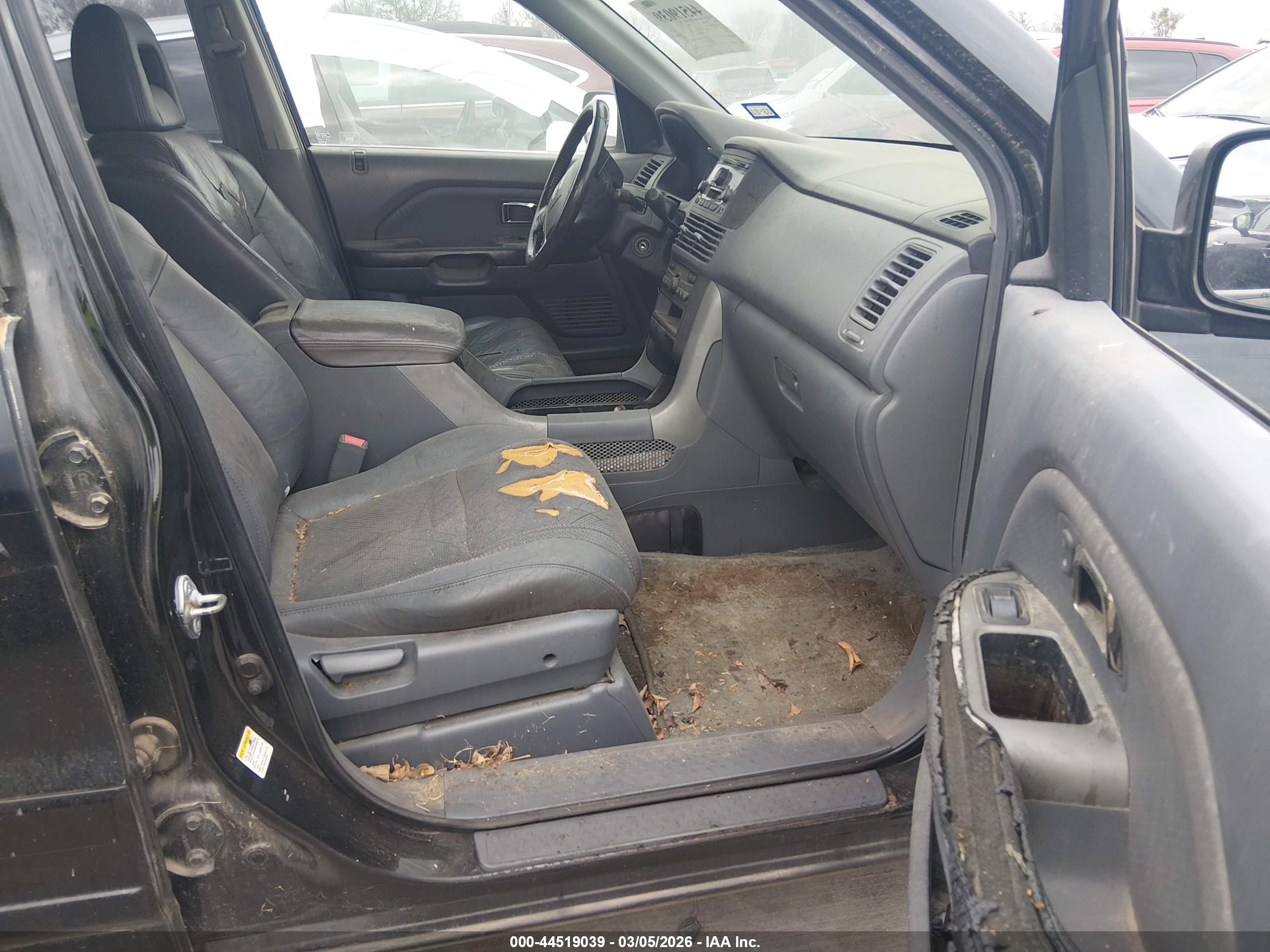 Image 5