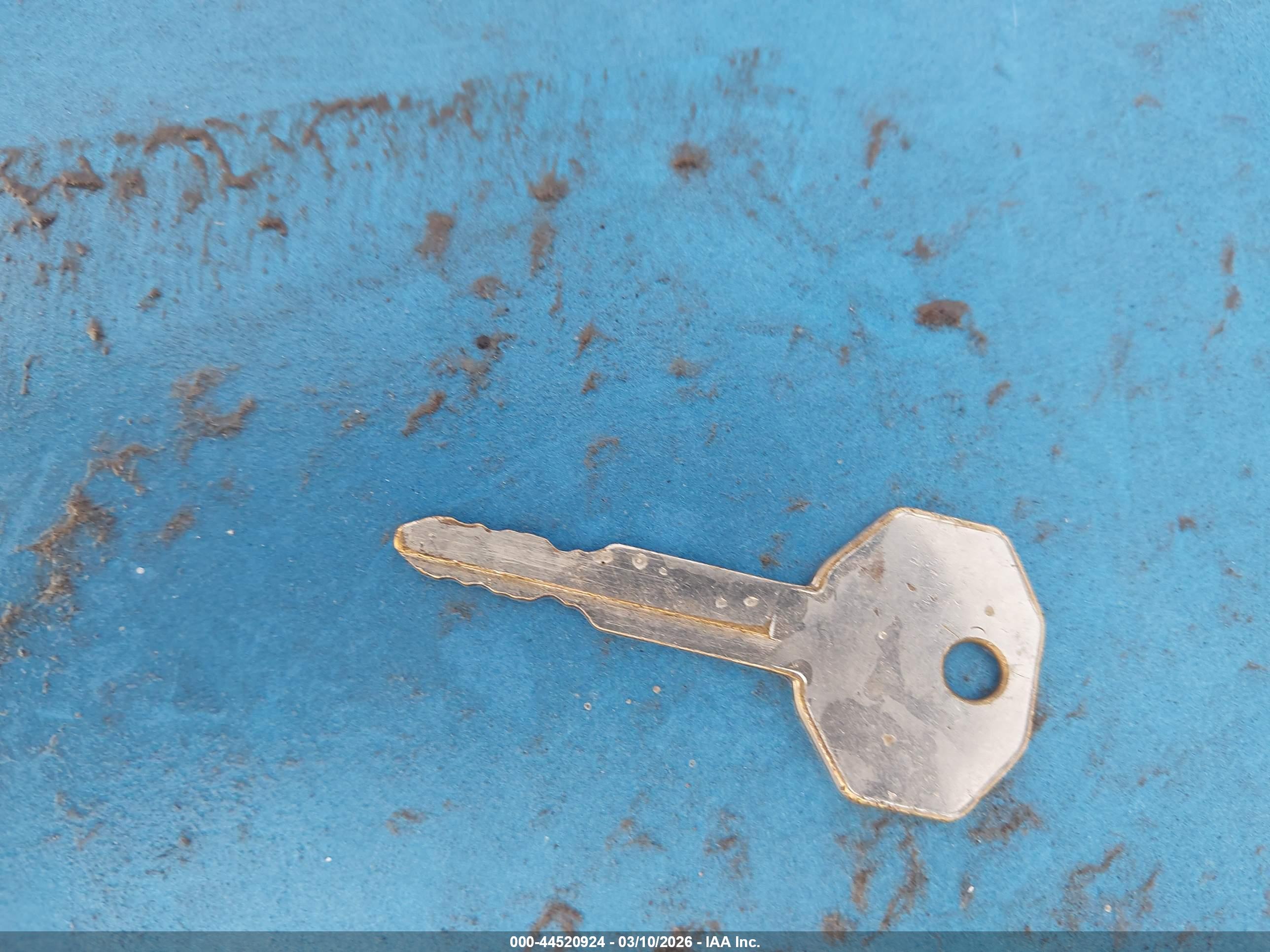 Image 11