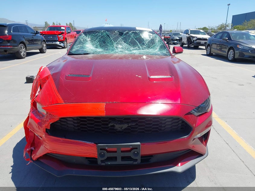 FORD MUSTANG - zdjęcie 13