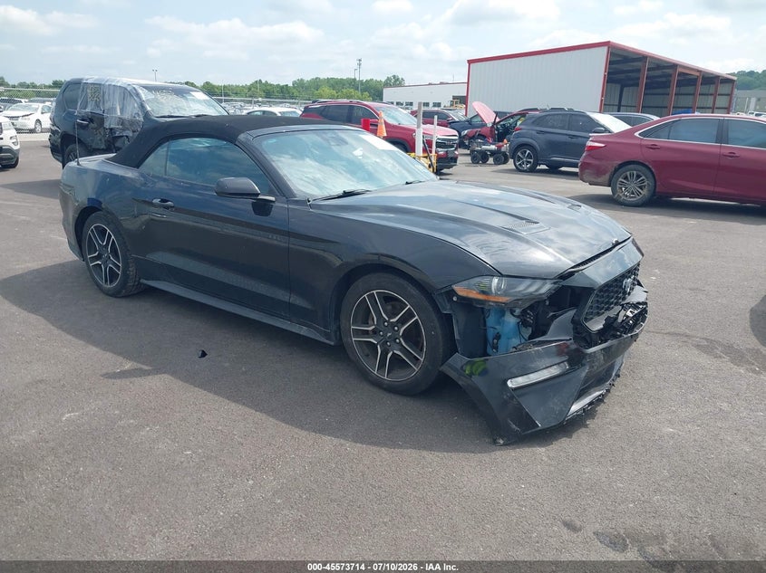 FORD MUSTANG - zdjęcie 1